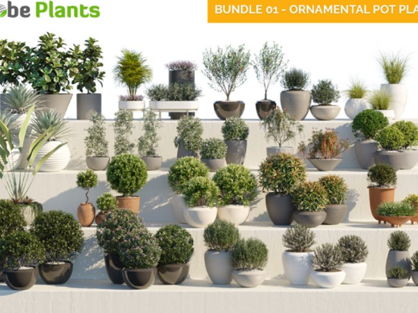 58种 观赏性和装饰性的盆栽植物3d模型下载 Globe Plants – Bundle 01 Ornamental Pot Plants