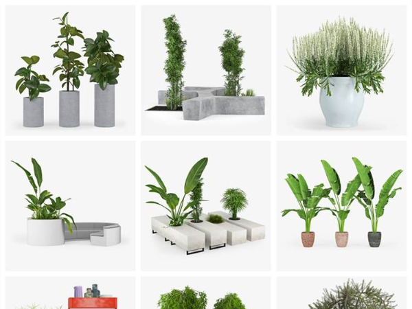 Cgtrader –25 Set Plants 3D-Models Collection 个性盆栽植物3DMAX模型下载