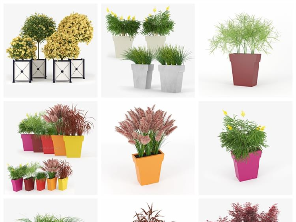 CGTrader –32 Set Plants 3D-Models Collection 盆栽植物3DMAX模型下载