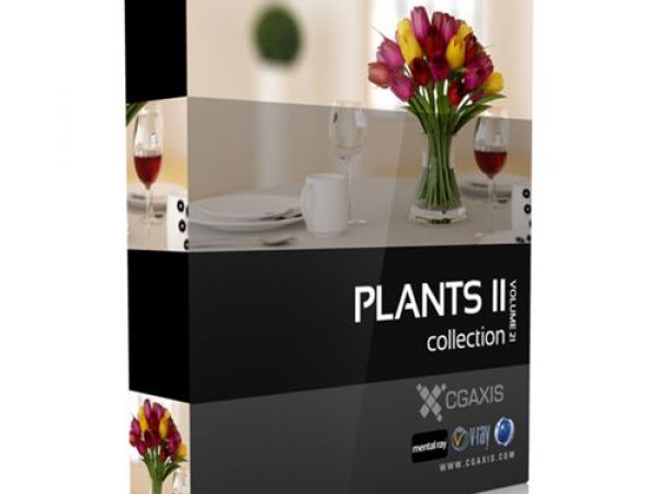CGAxis第21卷植物盆栽3D模型下载II
