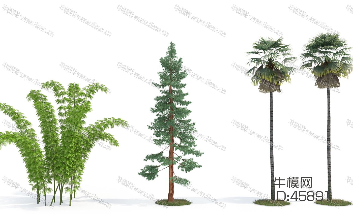 室外绿植椰子树（vr代理）