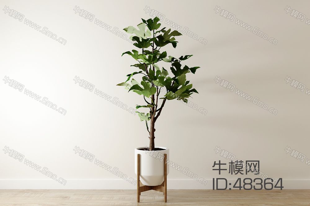 北欧室内植物盆栽