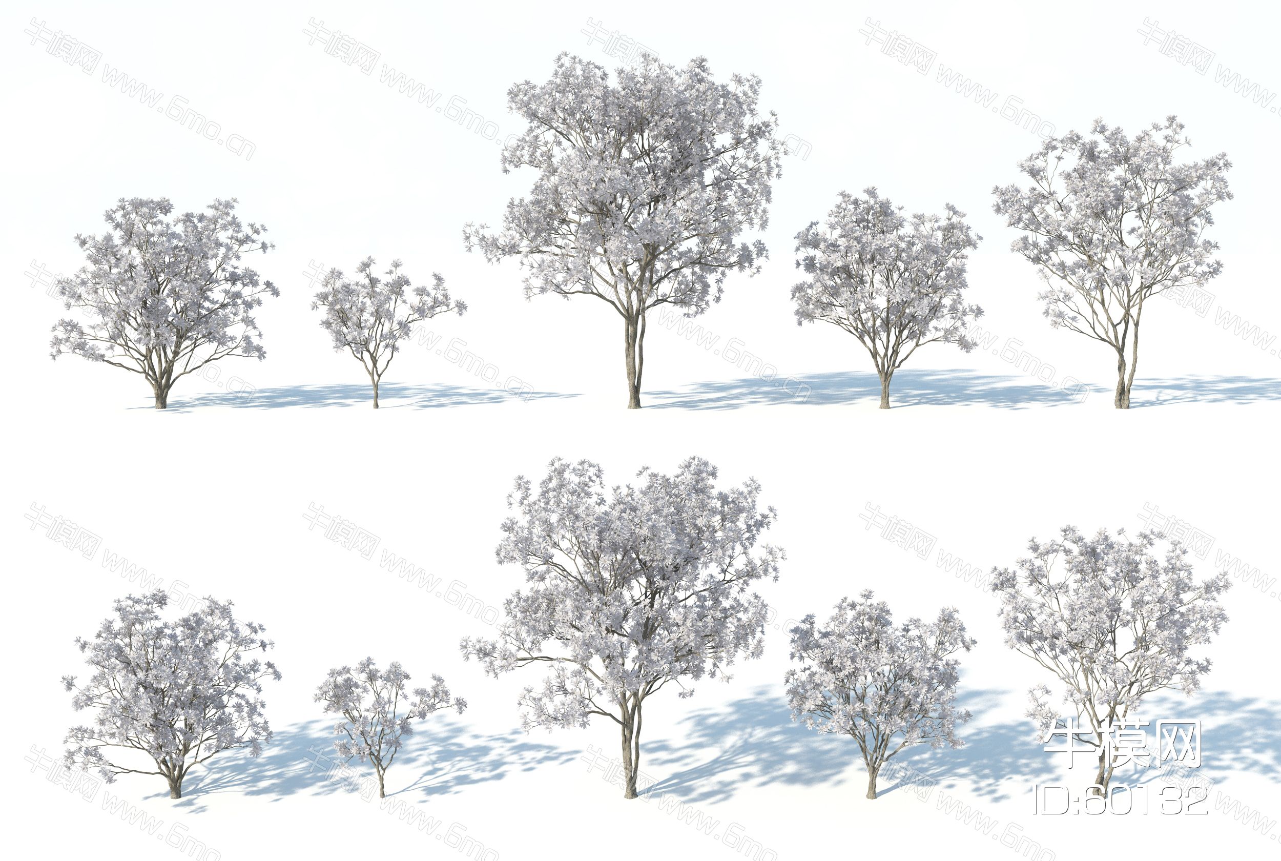 树木，花树，白花树，木兰花树，白海棠花树，红花树，樱花树