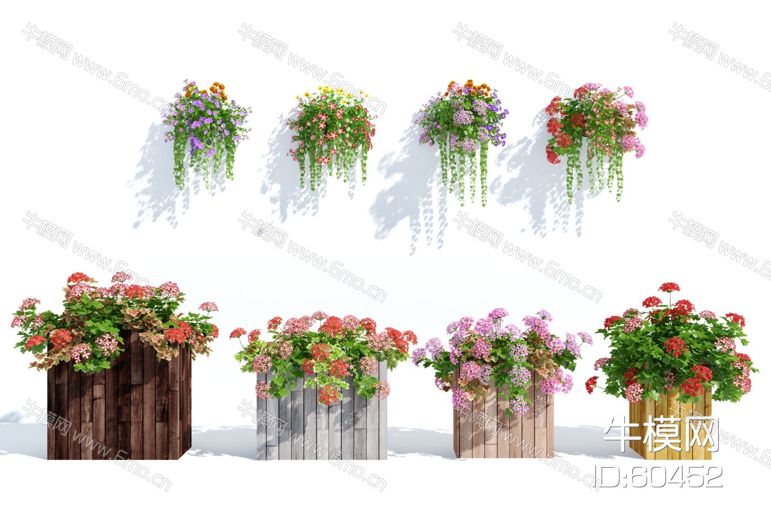 现代盆栽，小盆栽，花，花盆，吊篮，花篮，植物装饰品，植物摆件