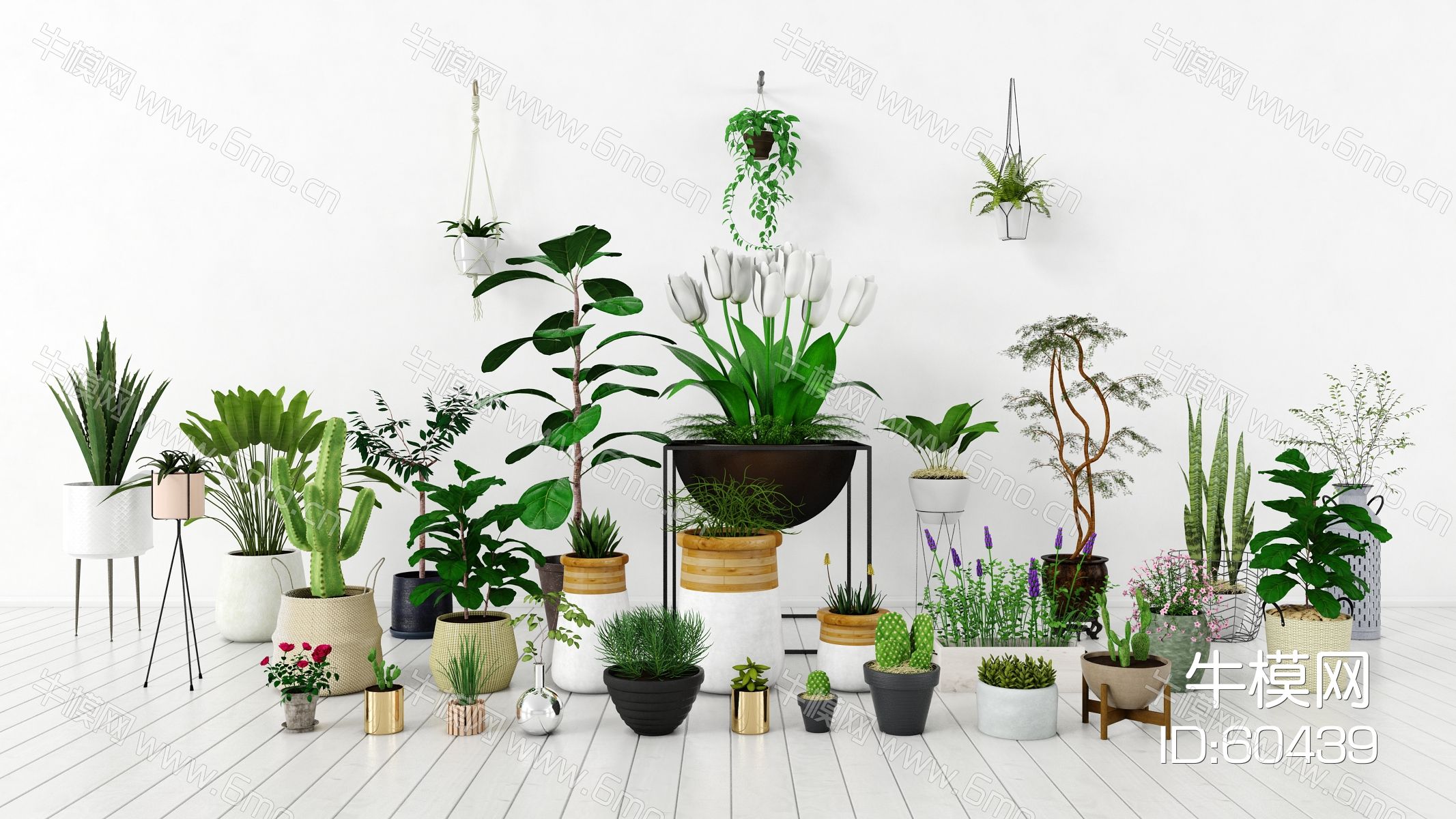现代盆栽，小盆栽，花瓶，花盆，吊篮，花篮，植物装饰品，植物摆件