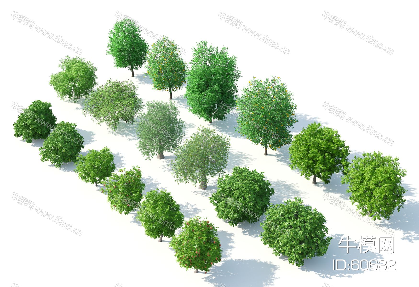 现代树木，树木组合，果树，花树，园林景观树，鸟瞰树