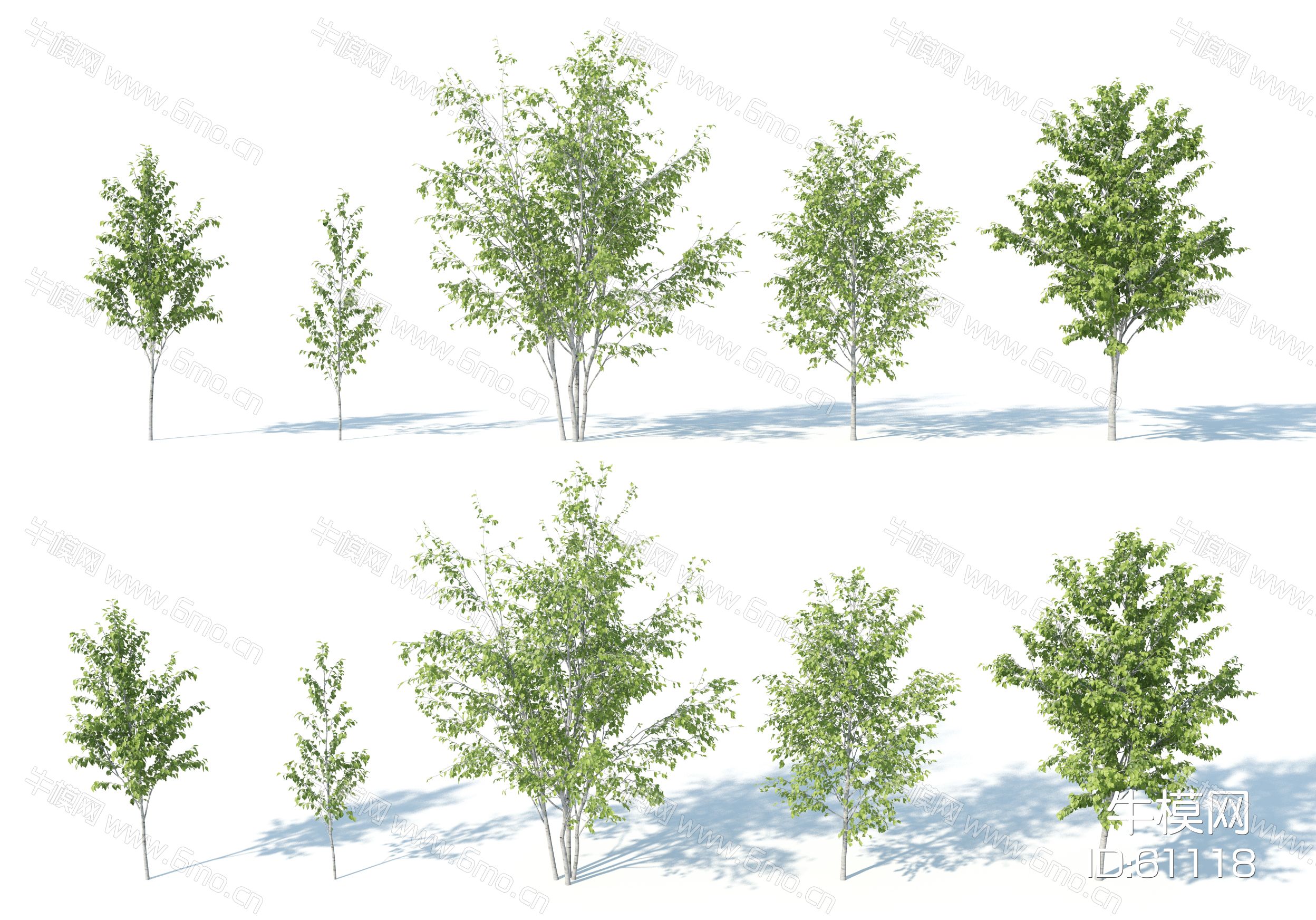 现代树木，树木组合，园林景观树，写实树木，园林植物，园林灌木，灌木树