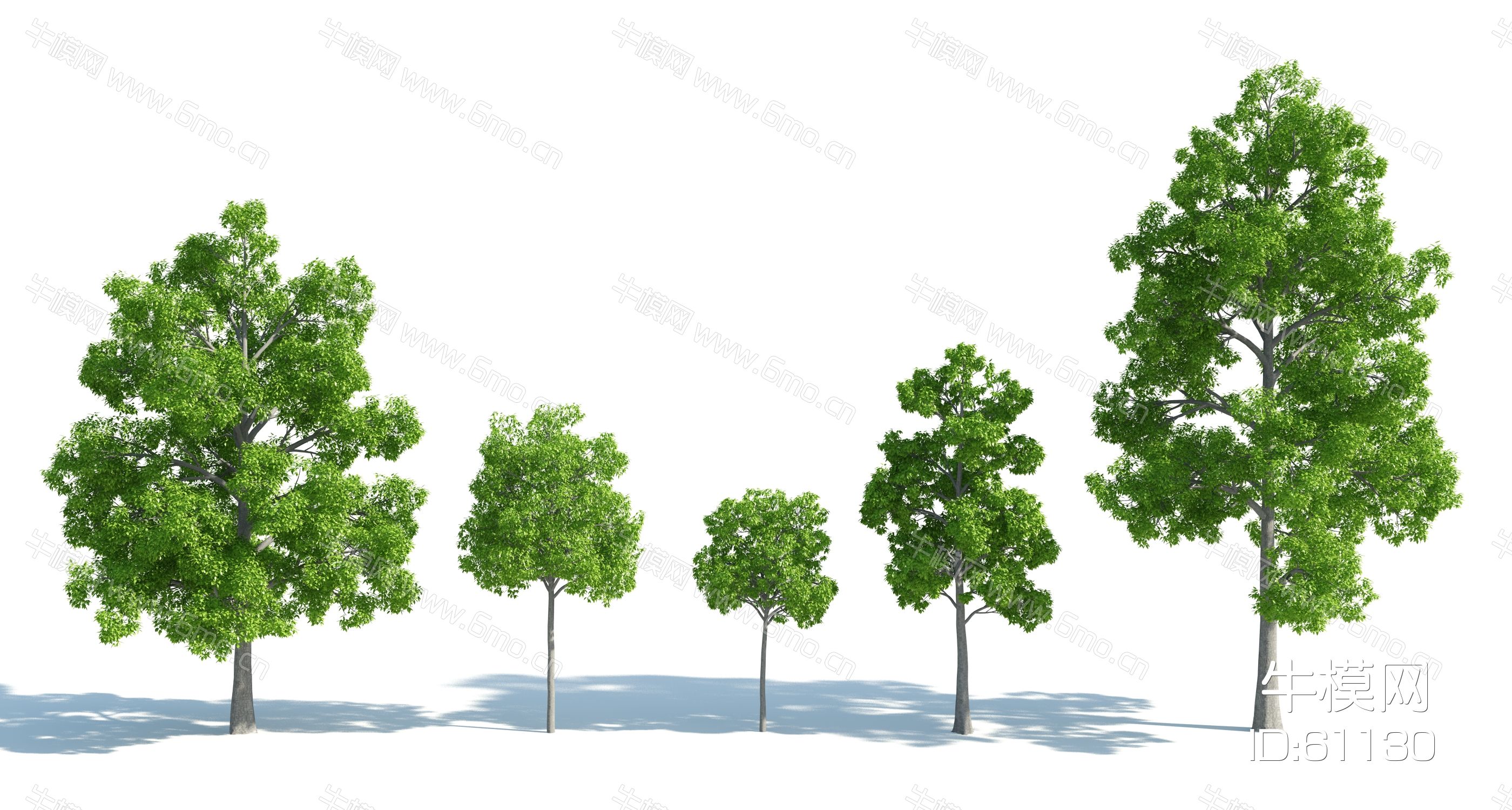 现代树木树木组合园林景观树写实树木园林植物园林灌木灌木树3d模型