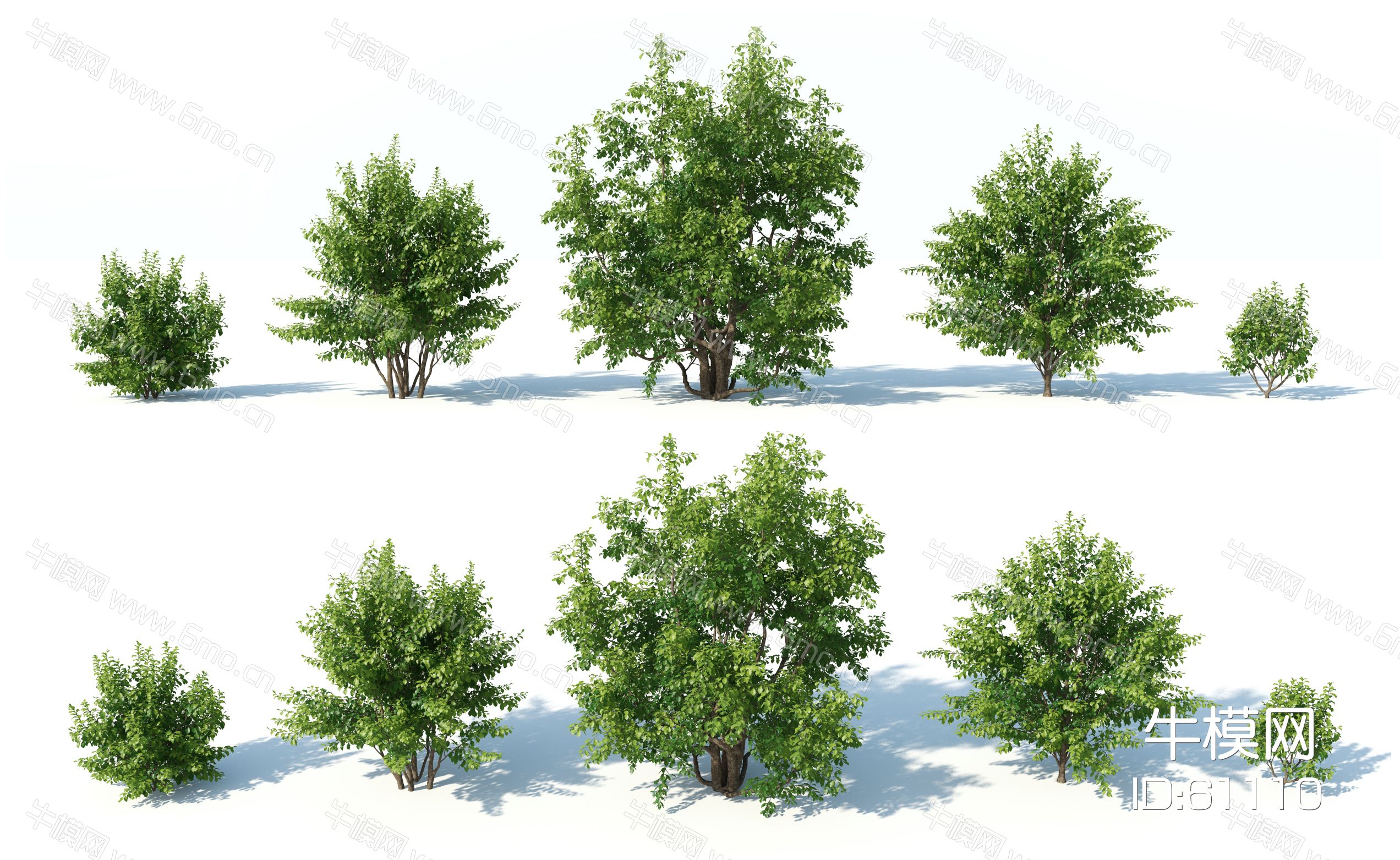 现代树木树木组合园林景观树写实树木园林植物园林灌木灌木树3d模型