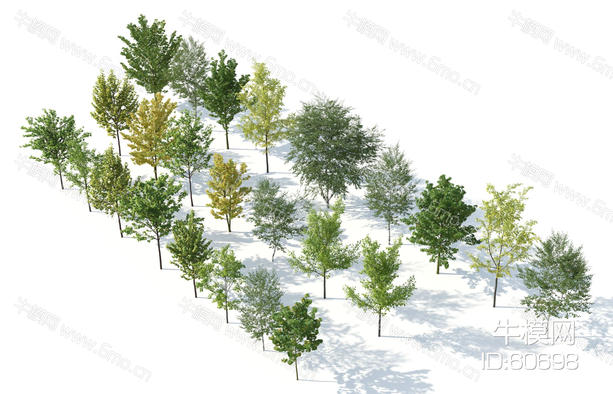 现代树木，树木组合，园林景观树，秋季树木，银杏树，花树，街道树木
