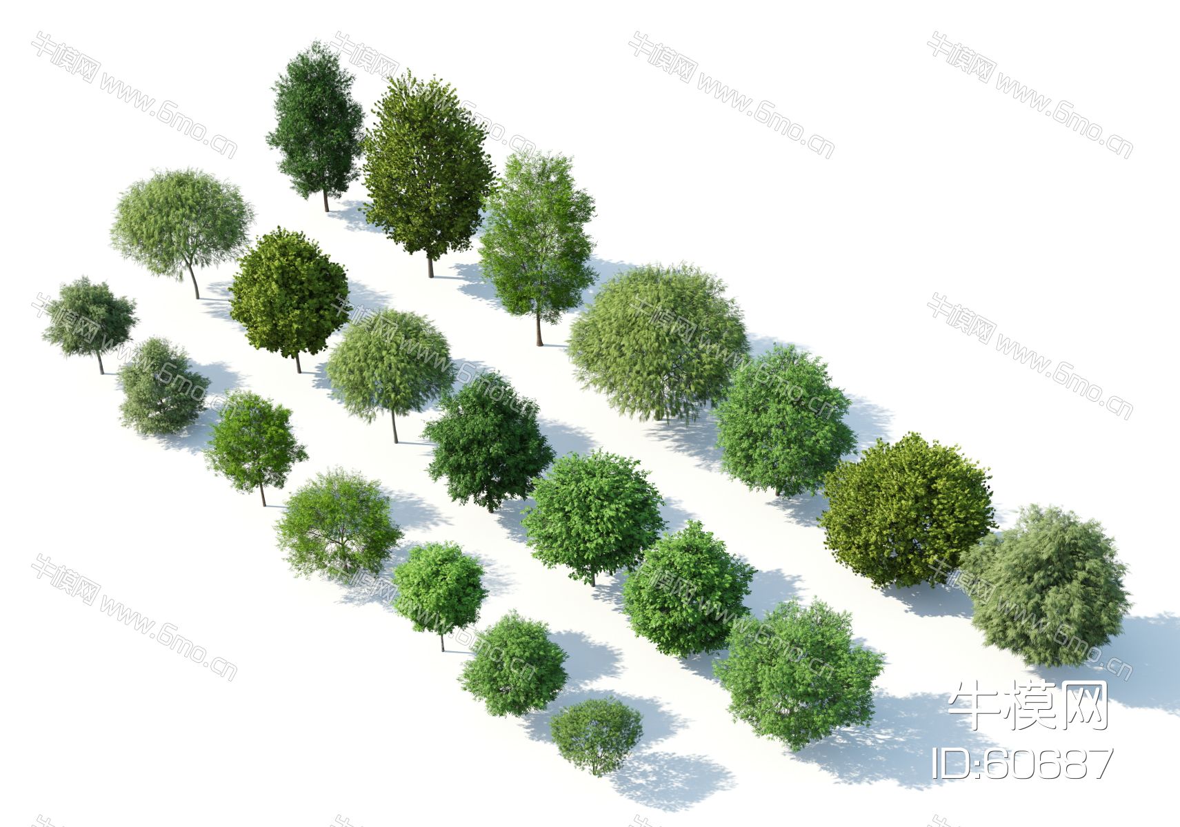 现代树木，树木组合，园林景观树，鸟瞰树，写实树木，园林植物，园林树木