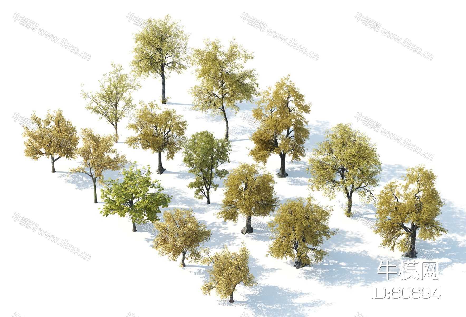 现代树木，树木组合，园林景观树，秋季树木，银杏树，枫树，黄叶树