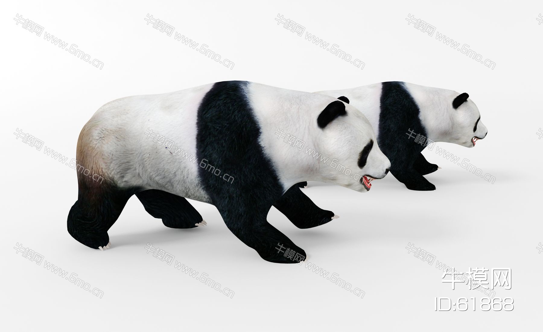 现代动物，熊猫，熊猫动画，熊猫翻滚