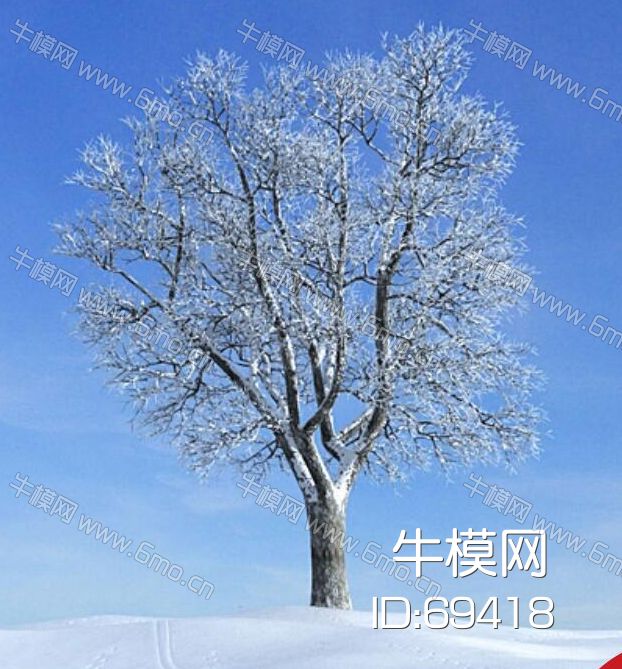 雪景树