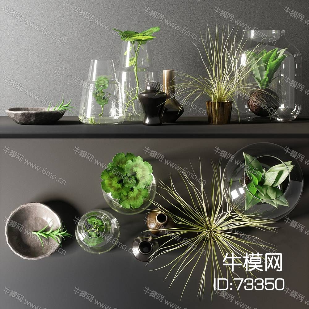 花瓶玻璃瓶装饰植物