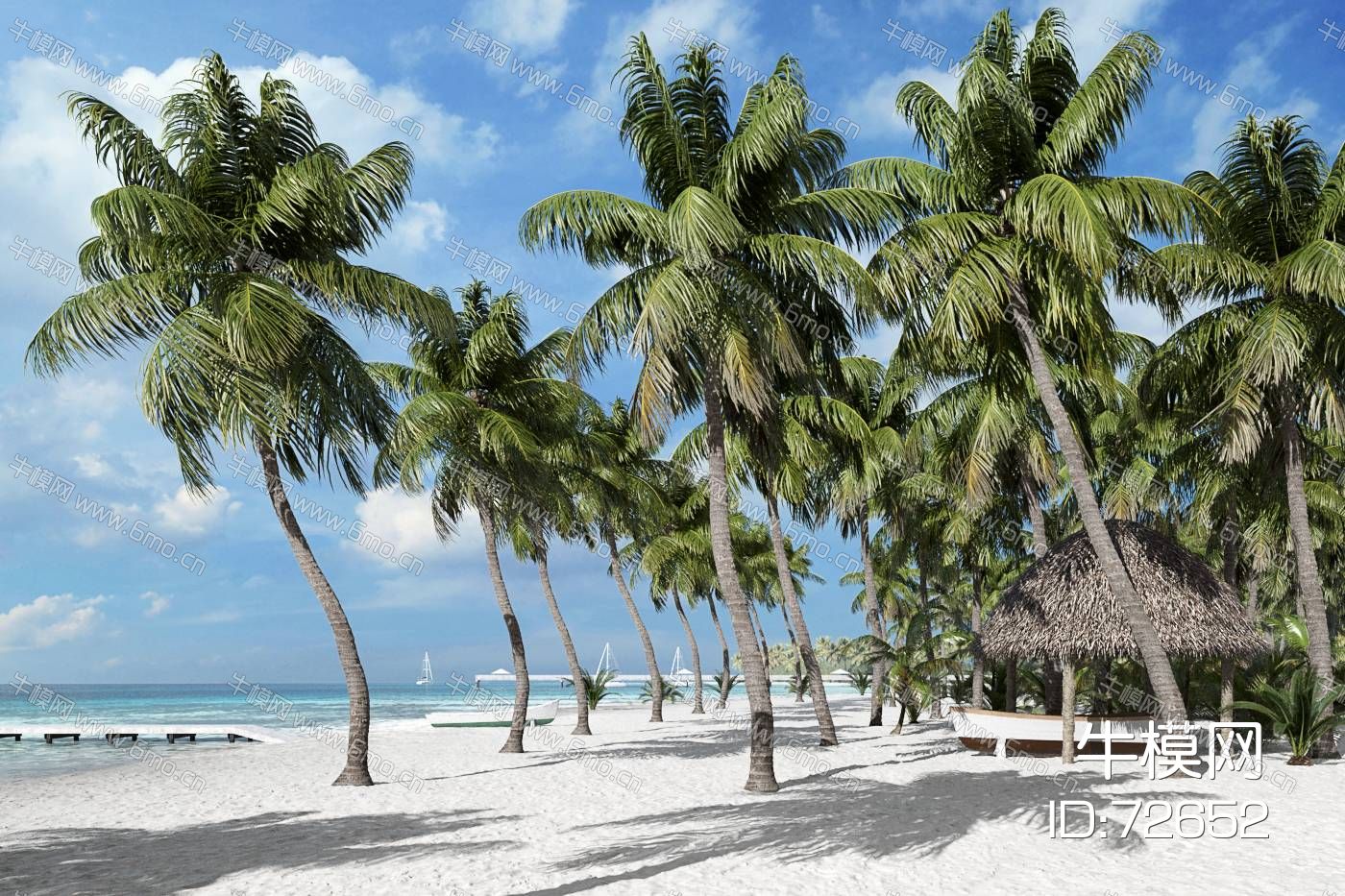 热带沙滩旅游椰子树