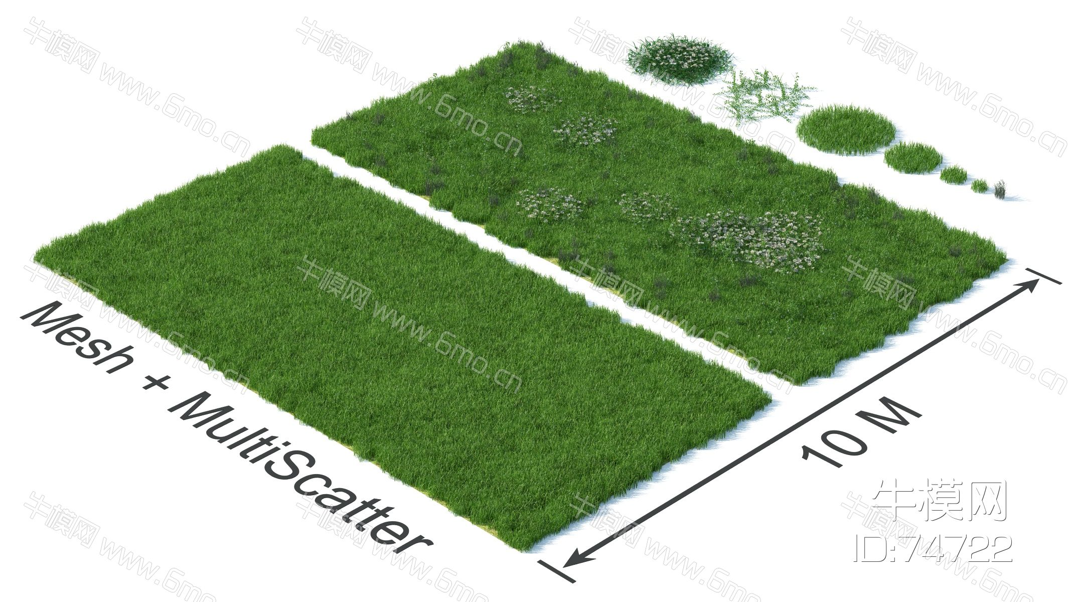 现代草坪，草地，草坪，草堆，杂草
