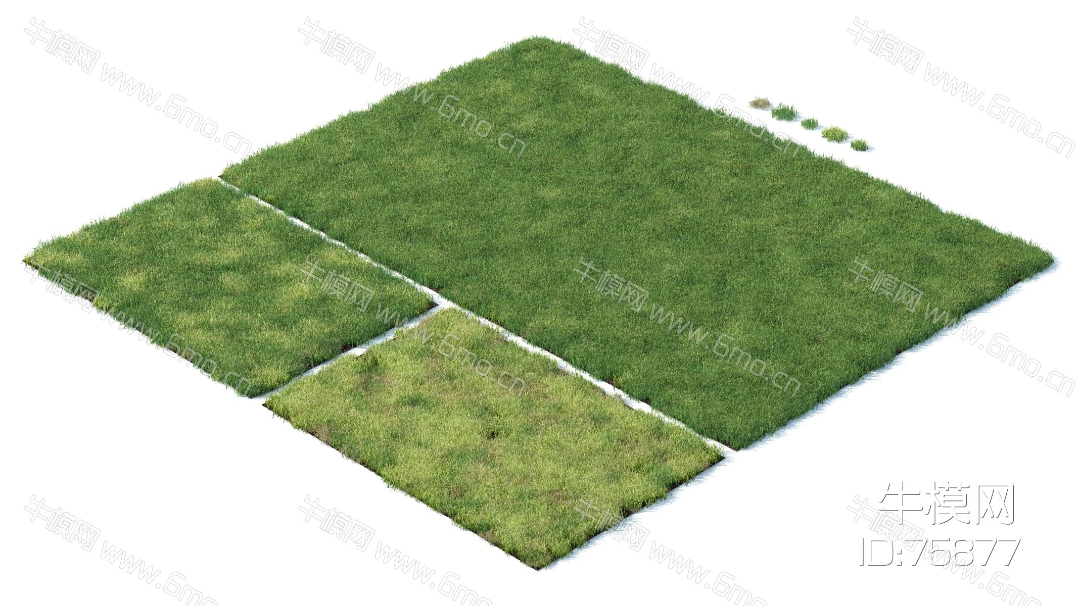 现代草坪，草地，草坪，杂草植物，草堆