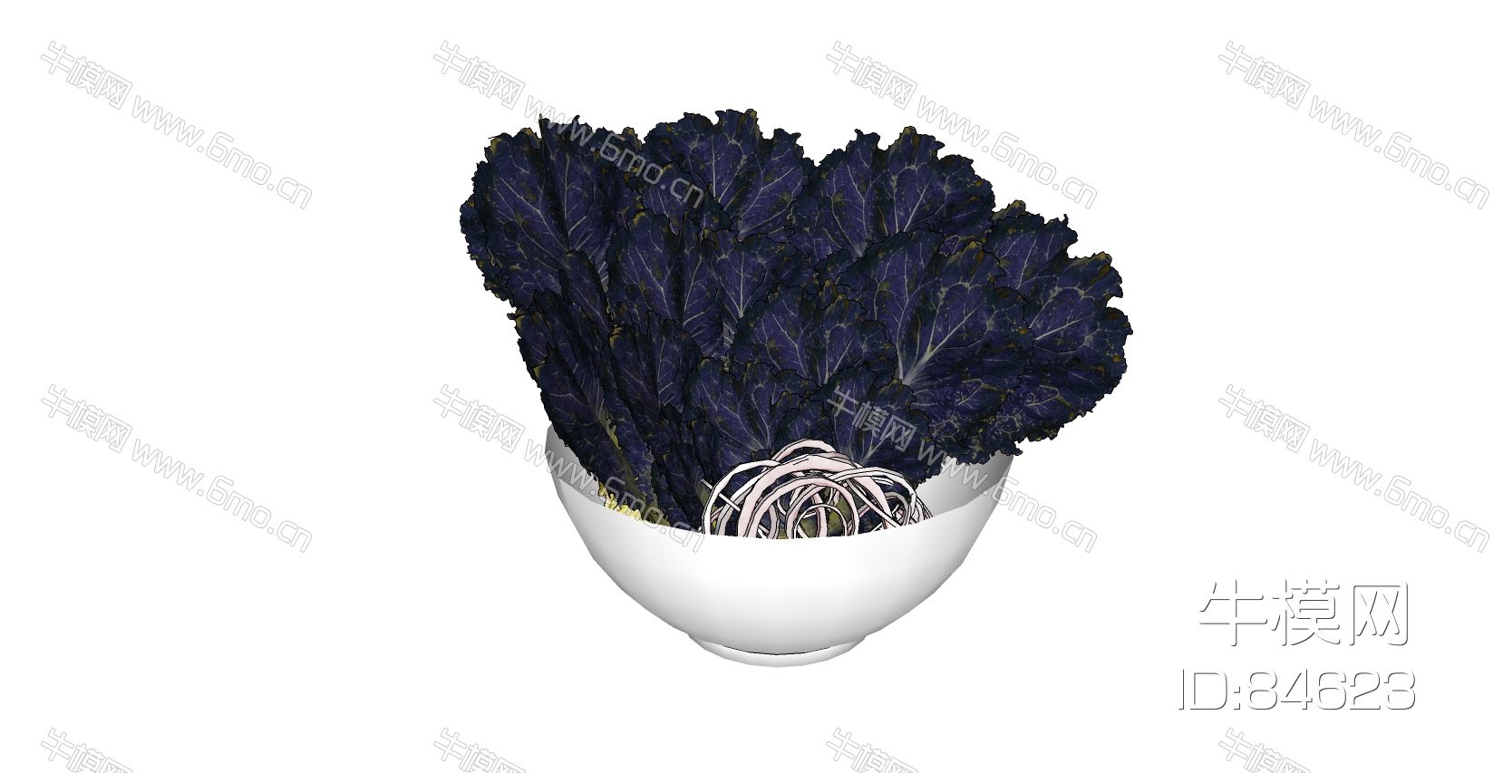 蔬菜紫菜