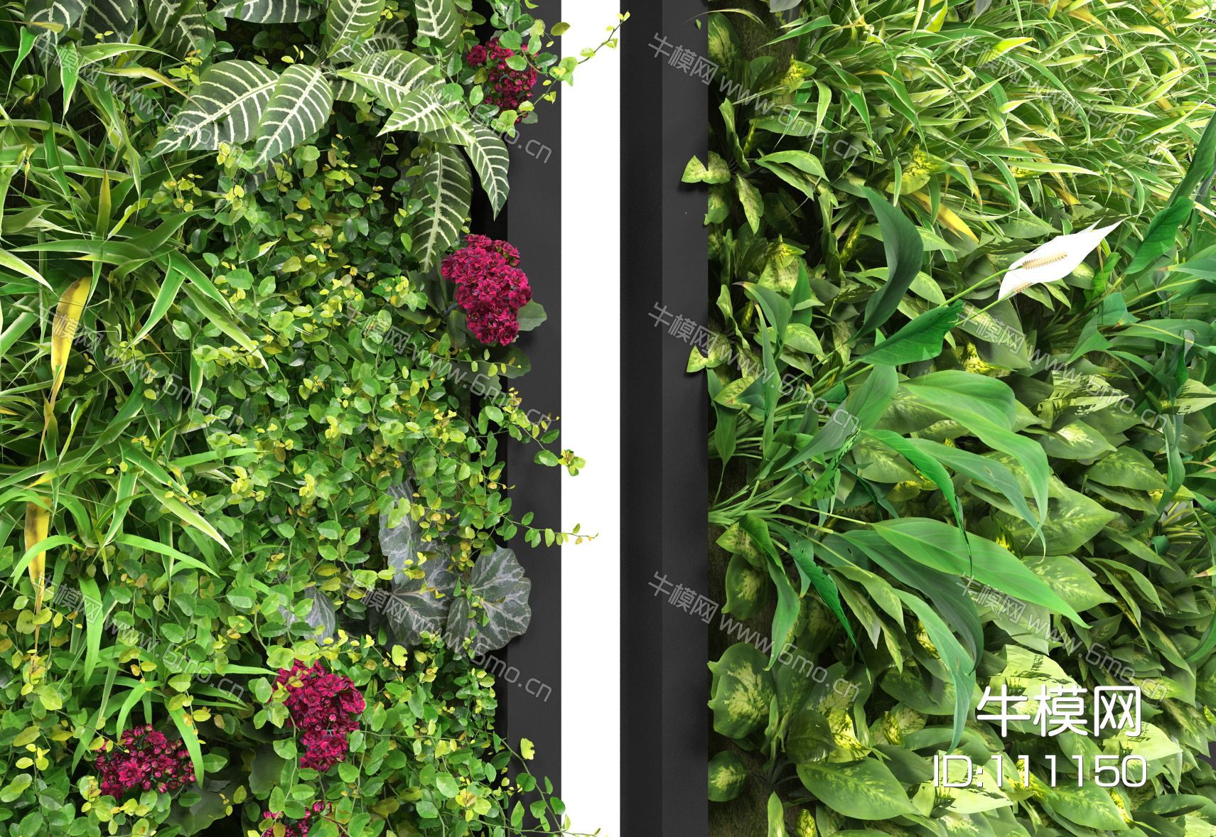 现代绿植墙，绿植墙，植物墙，绿化墙，垂直绿化，植物挂画，植物墙饰