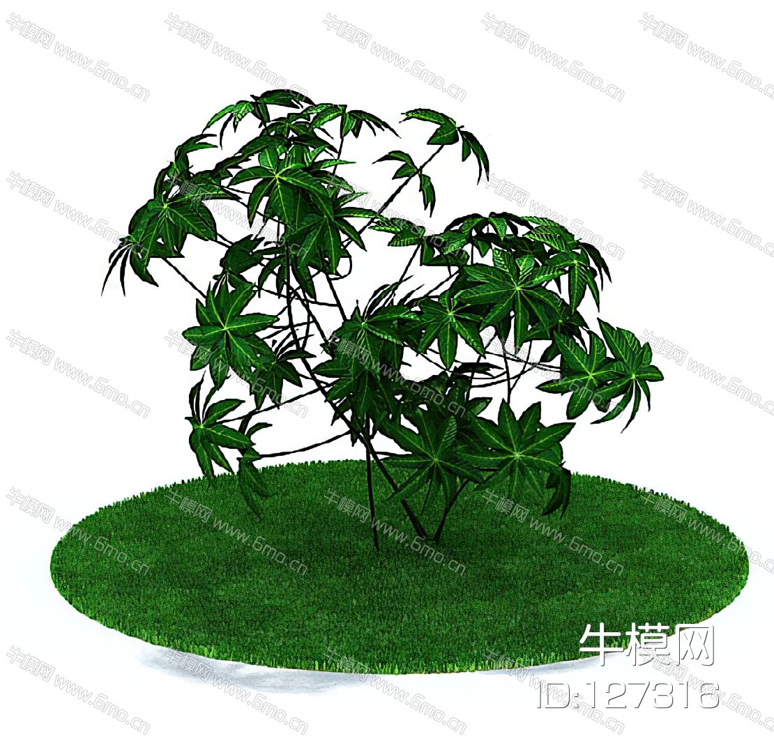 盆景
