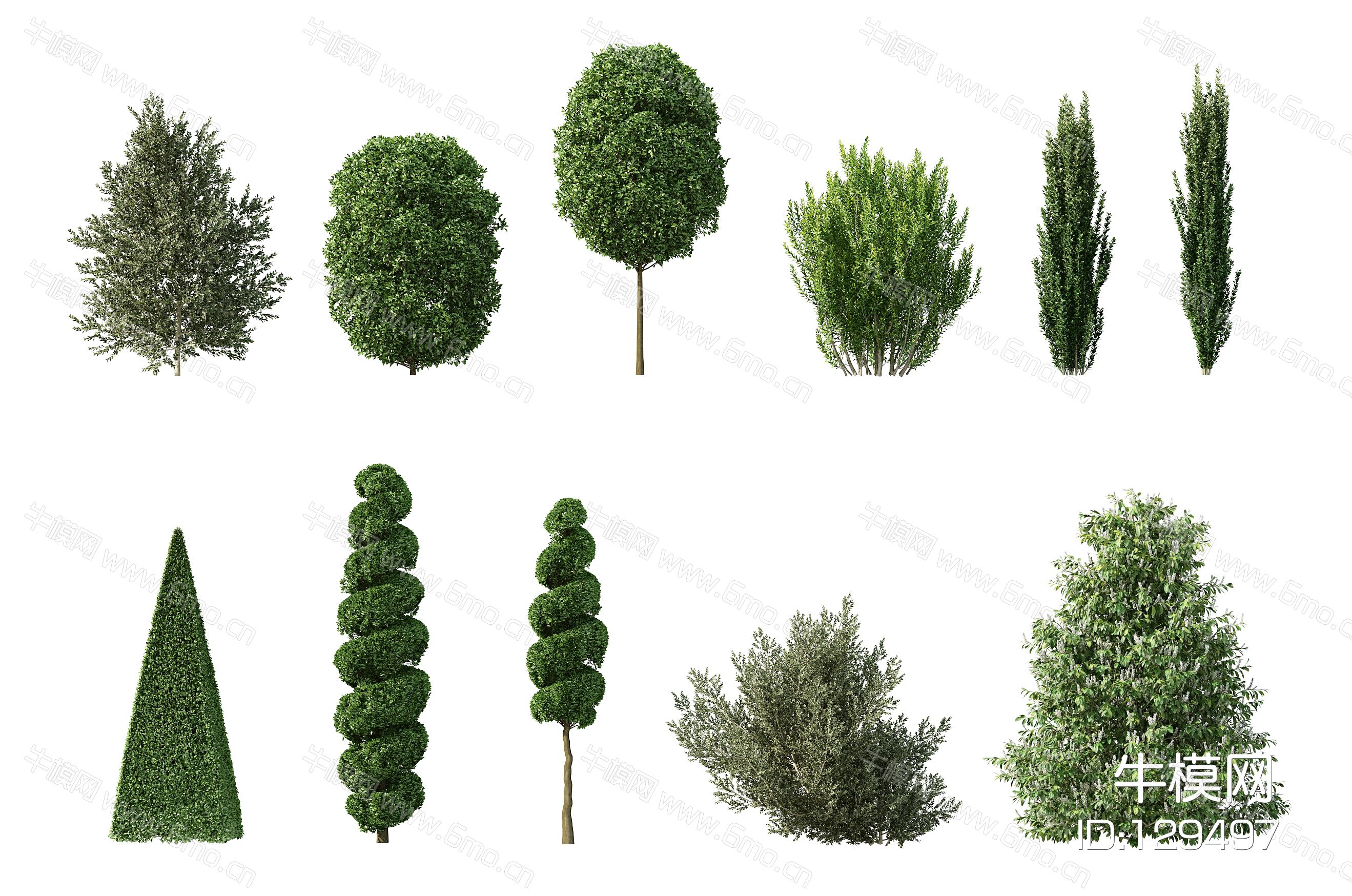 现代灌木，人工灌木，园林植物，园林灌木，人工修剪灌木，人工修剪植物，园林景观植物