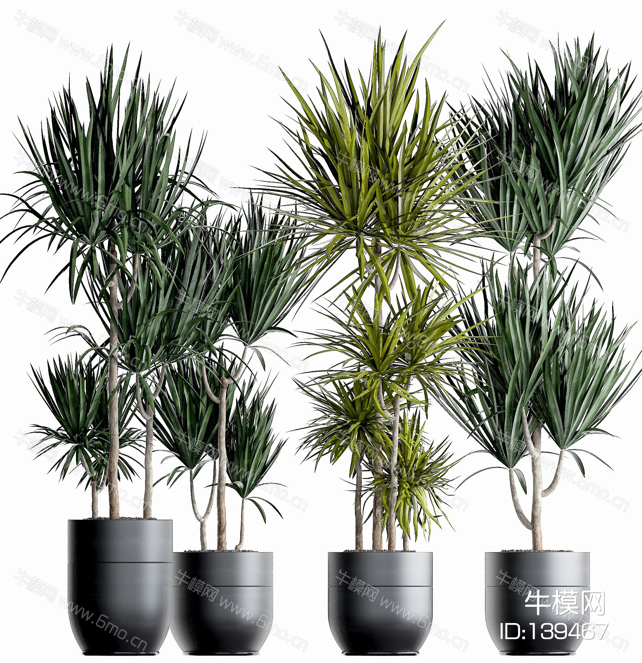 现代绿植盆栽3d模型下载