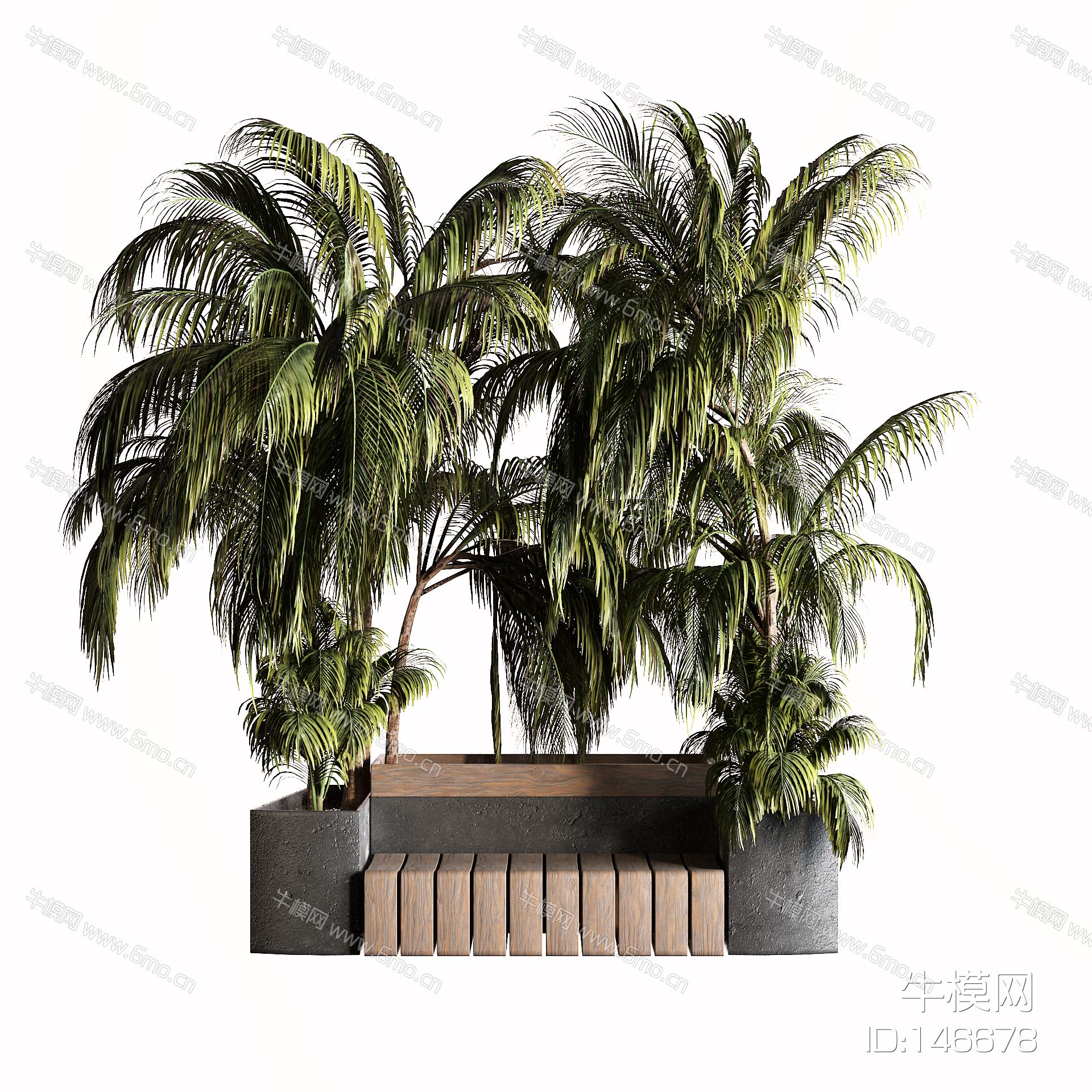 现代户外椅 棕榈树