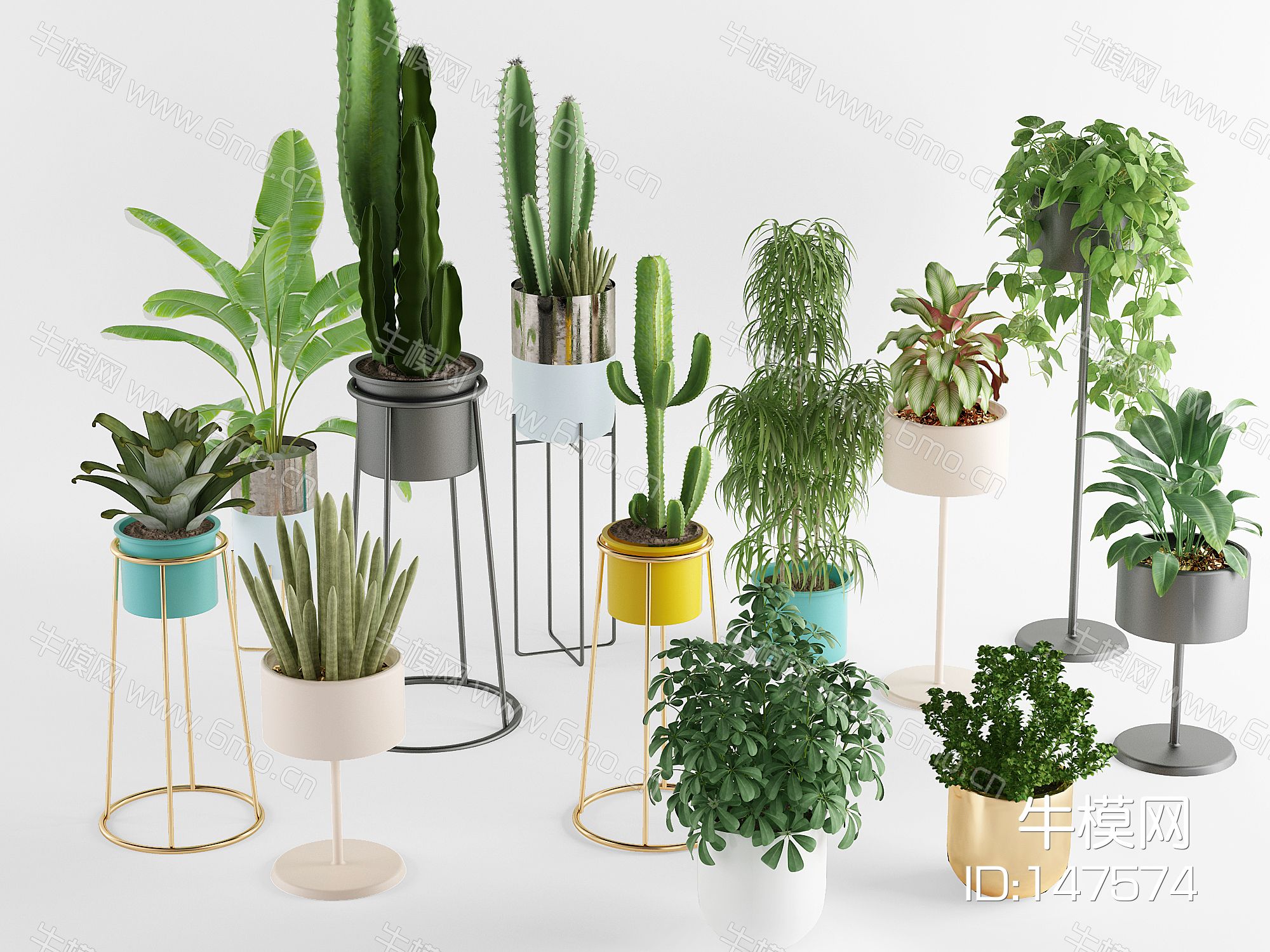 北欧绿植盆栽