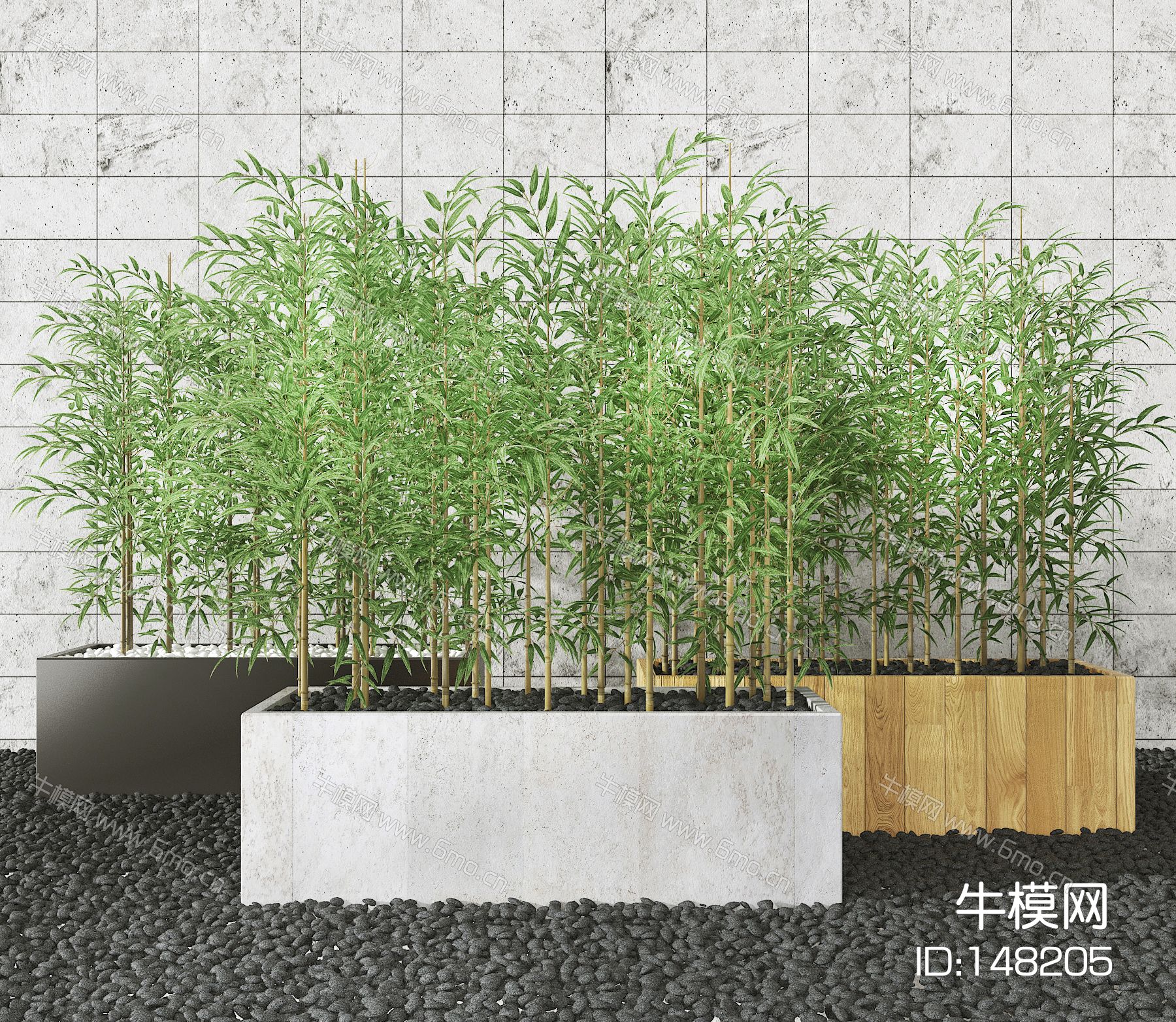 现代室外竹子盆栽