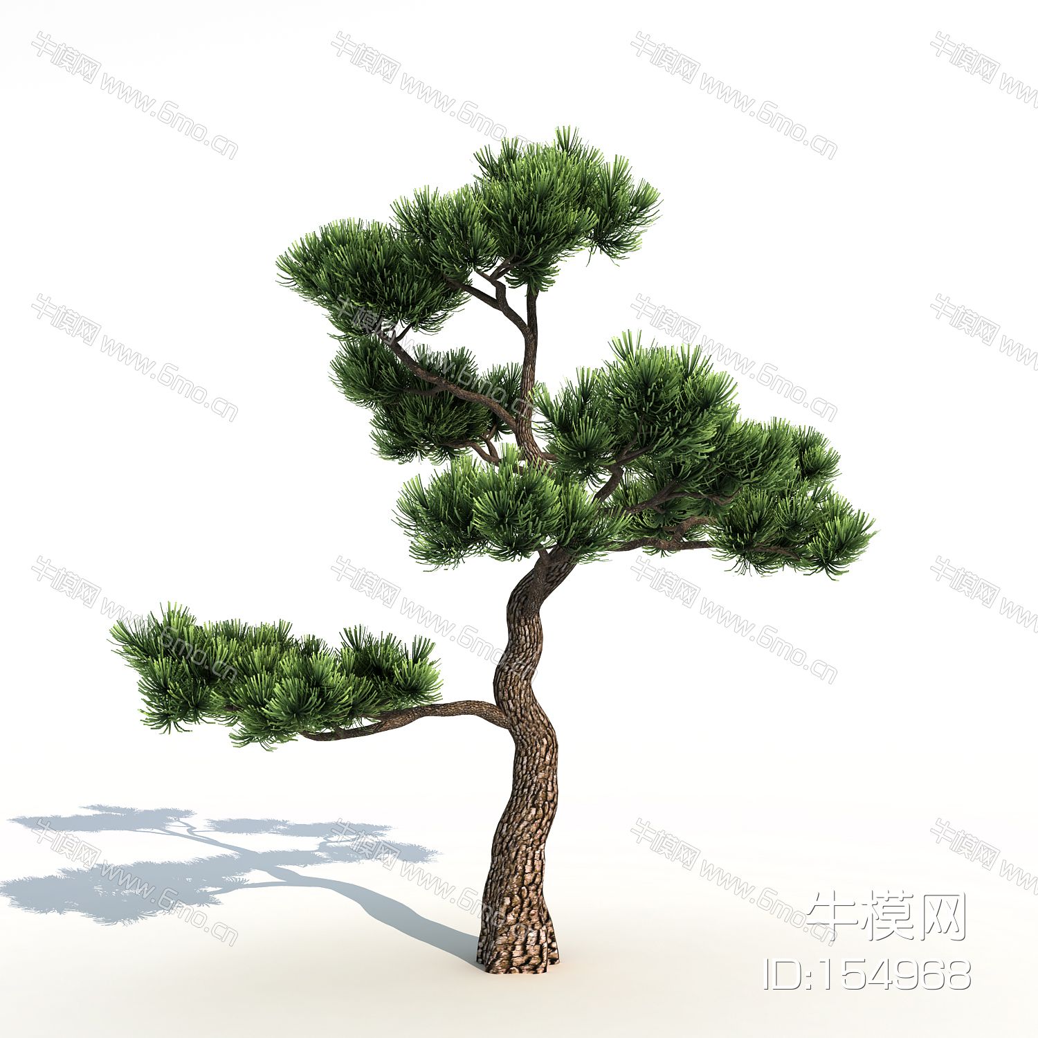新中式松树
