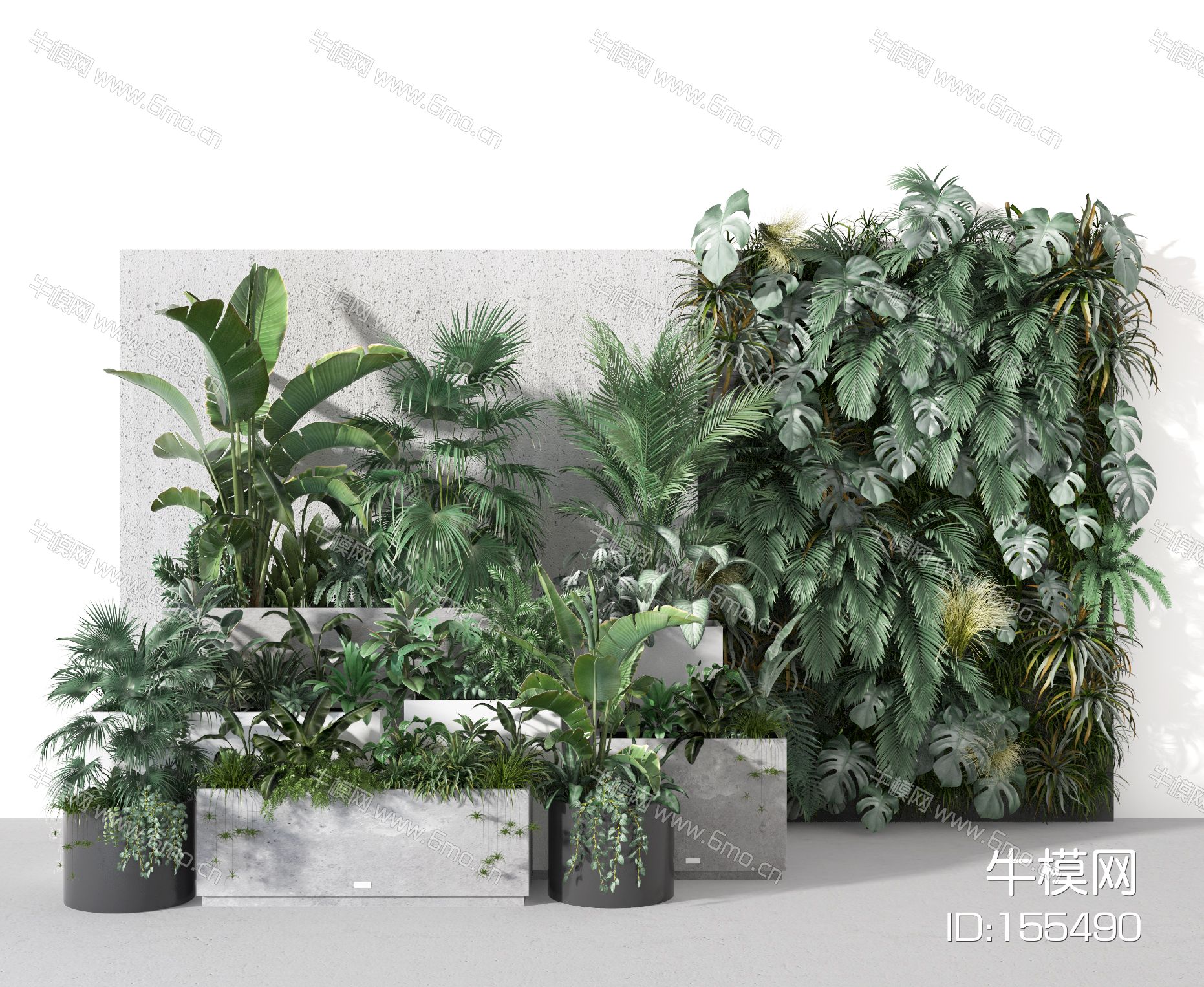 现代盆栽   庭院植物墙