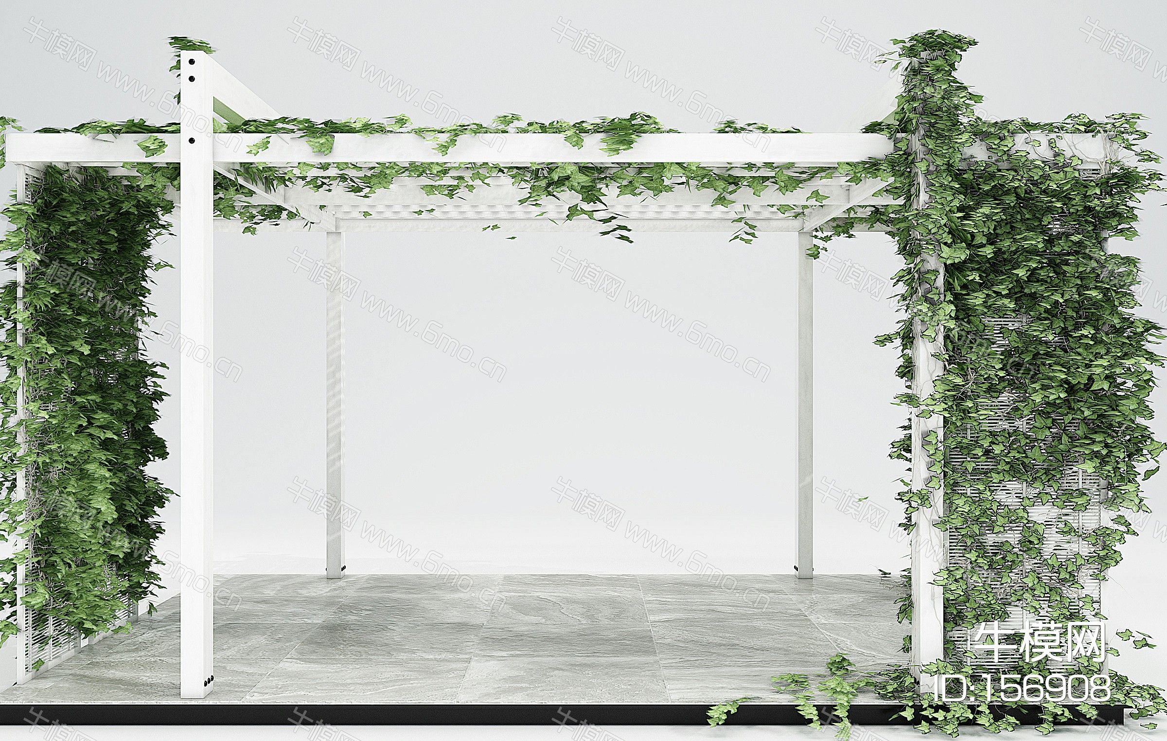 现代绿植藤蔓绿植