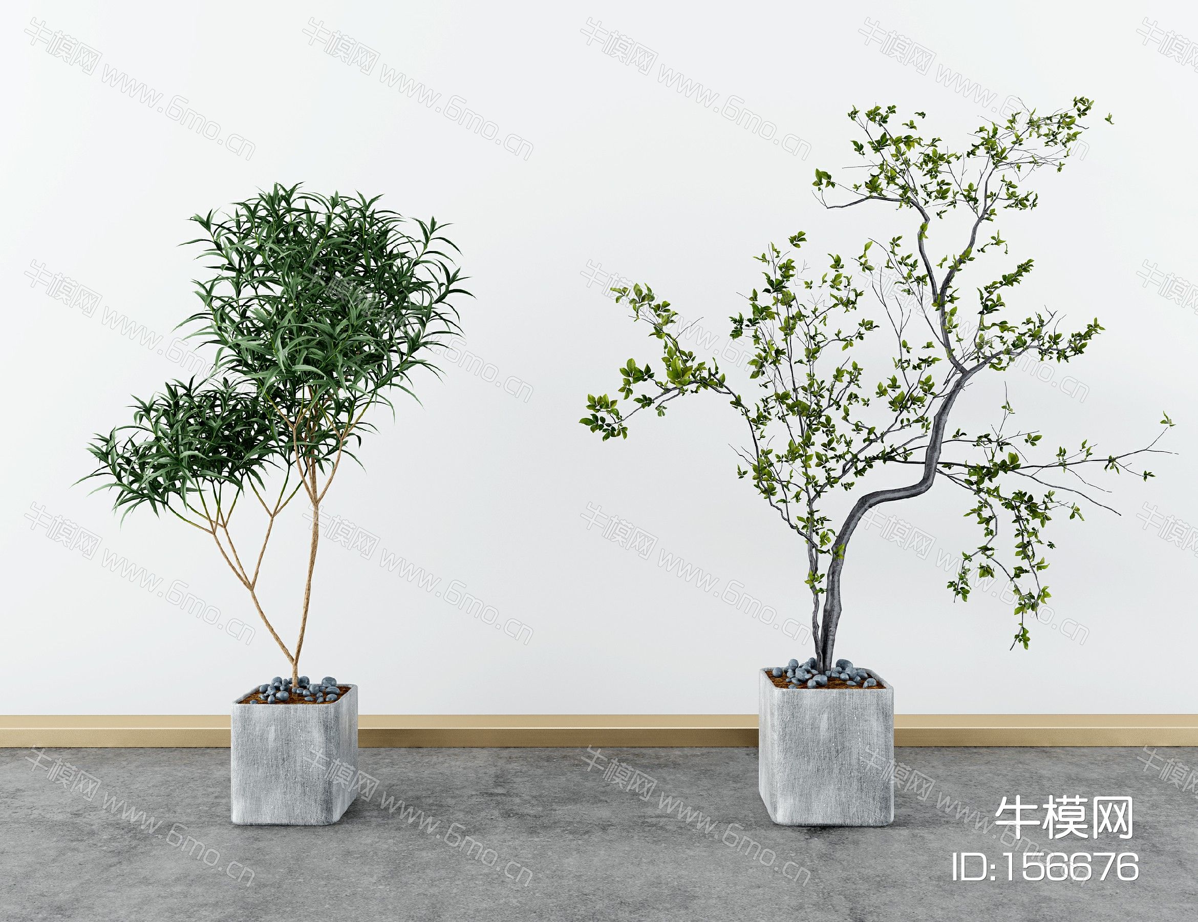 现代绿植盆栽