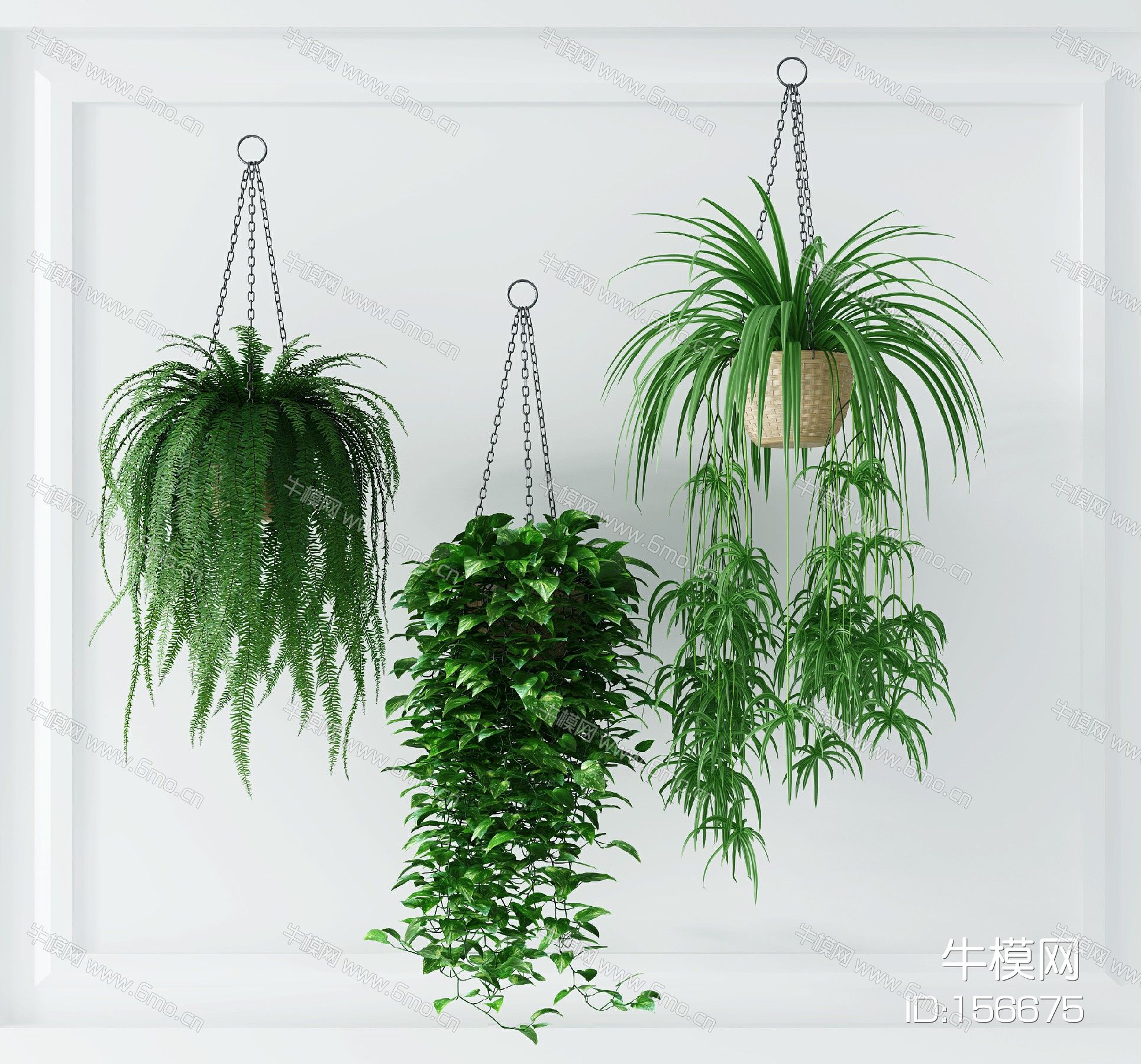 现代绿植盆景组合