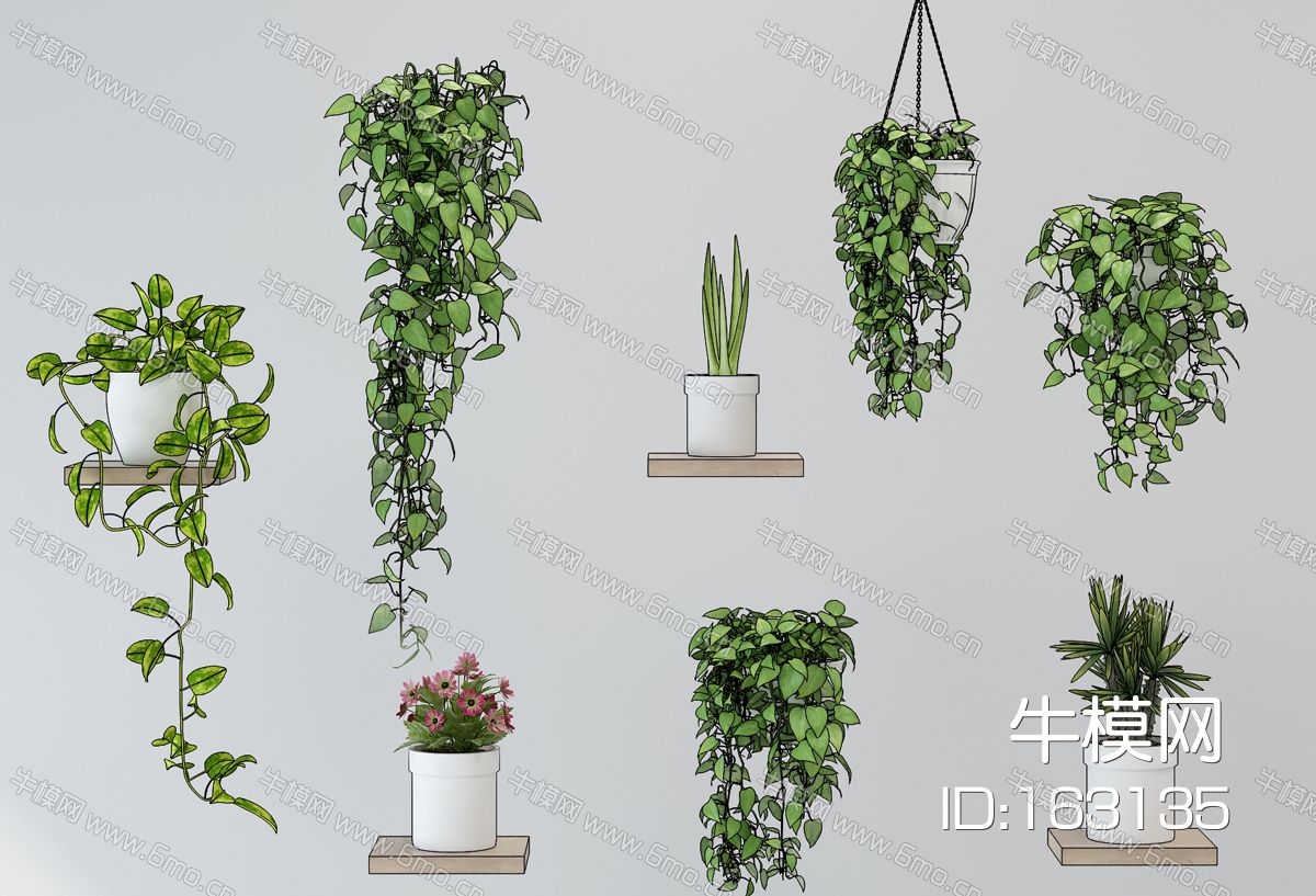 现代植物墙花盆吊篮