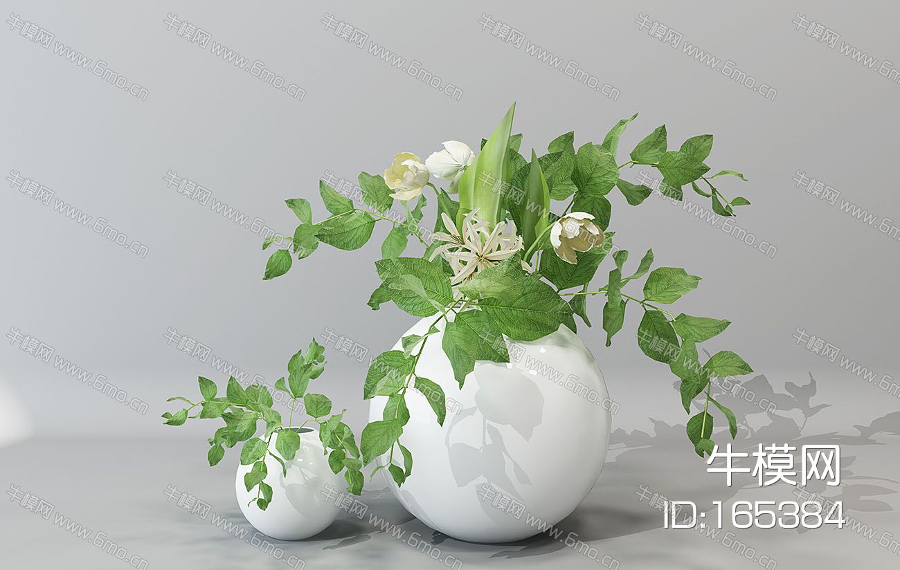 现代盆栽植物花瓶