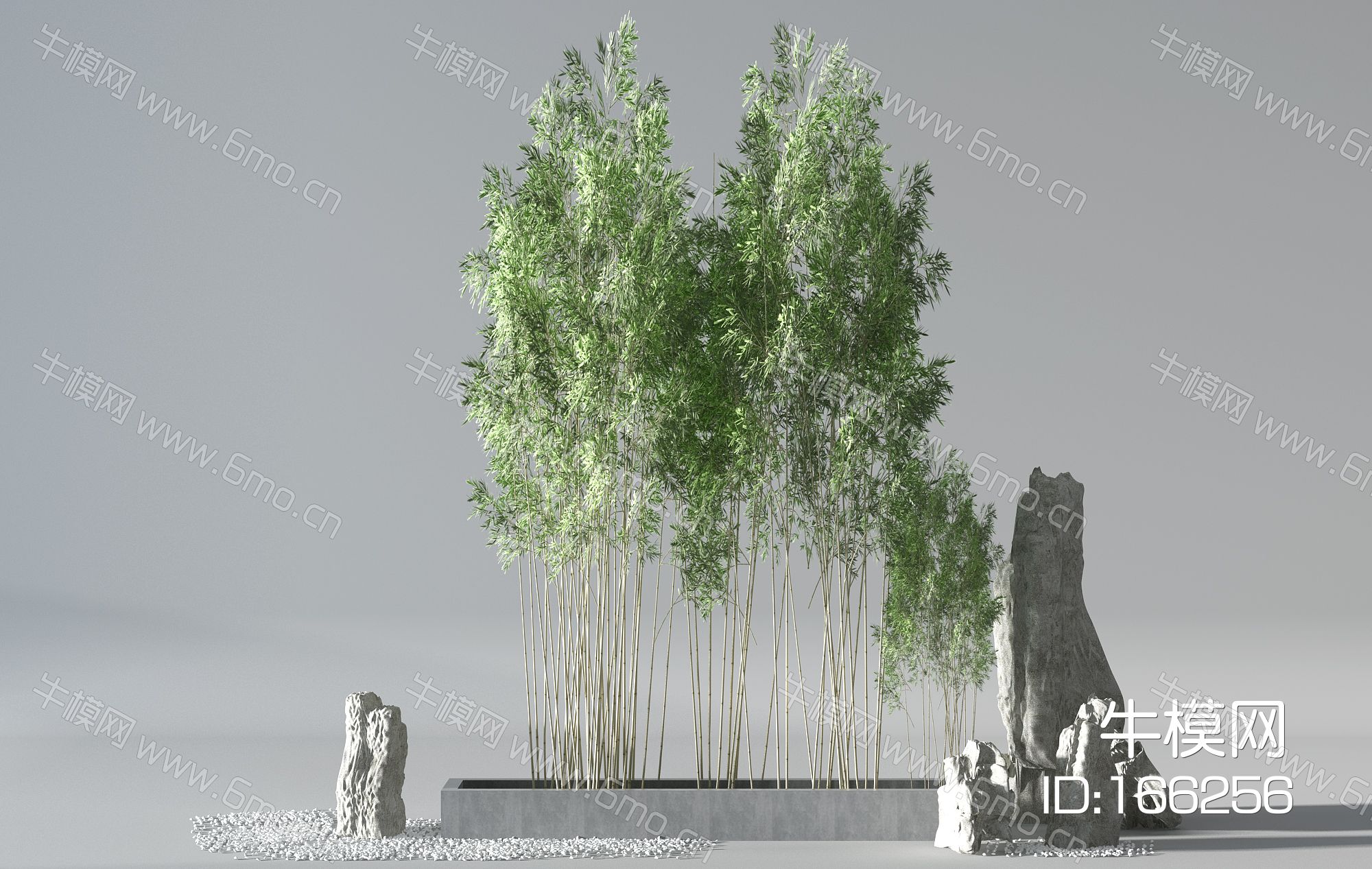 新中式植物竹子石头景观小景配镜石子