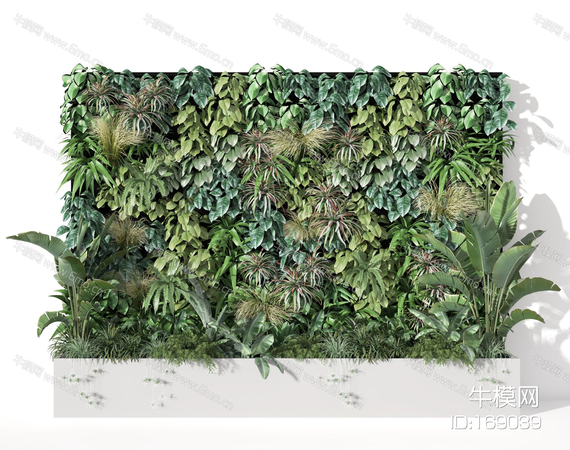 植物墙  装饰  背景墙