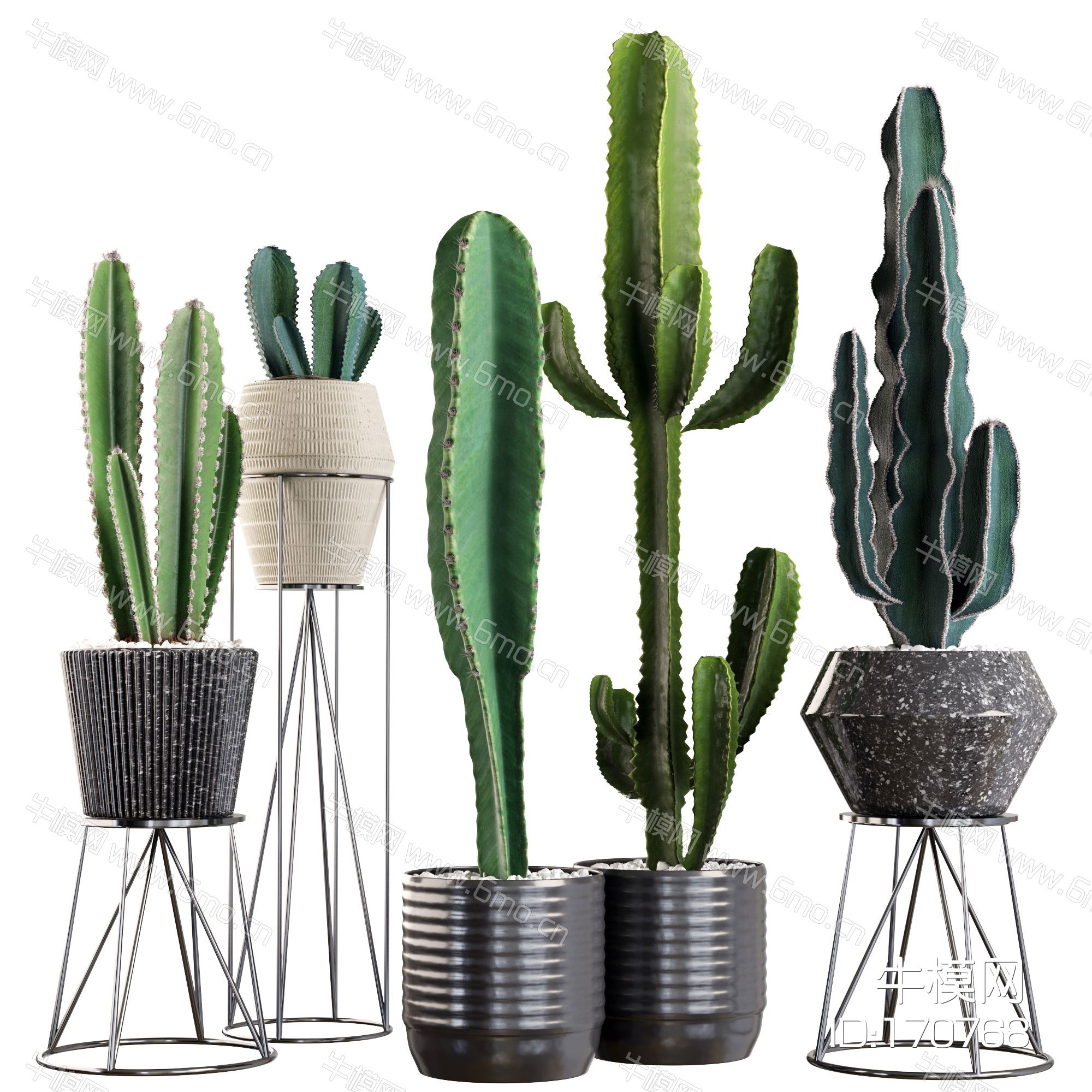 现代室内植物盆景组合