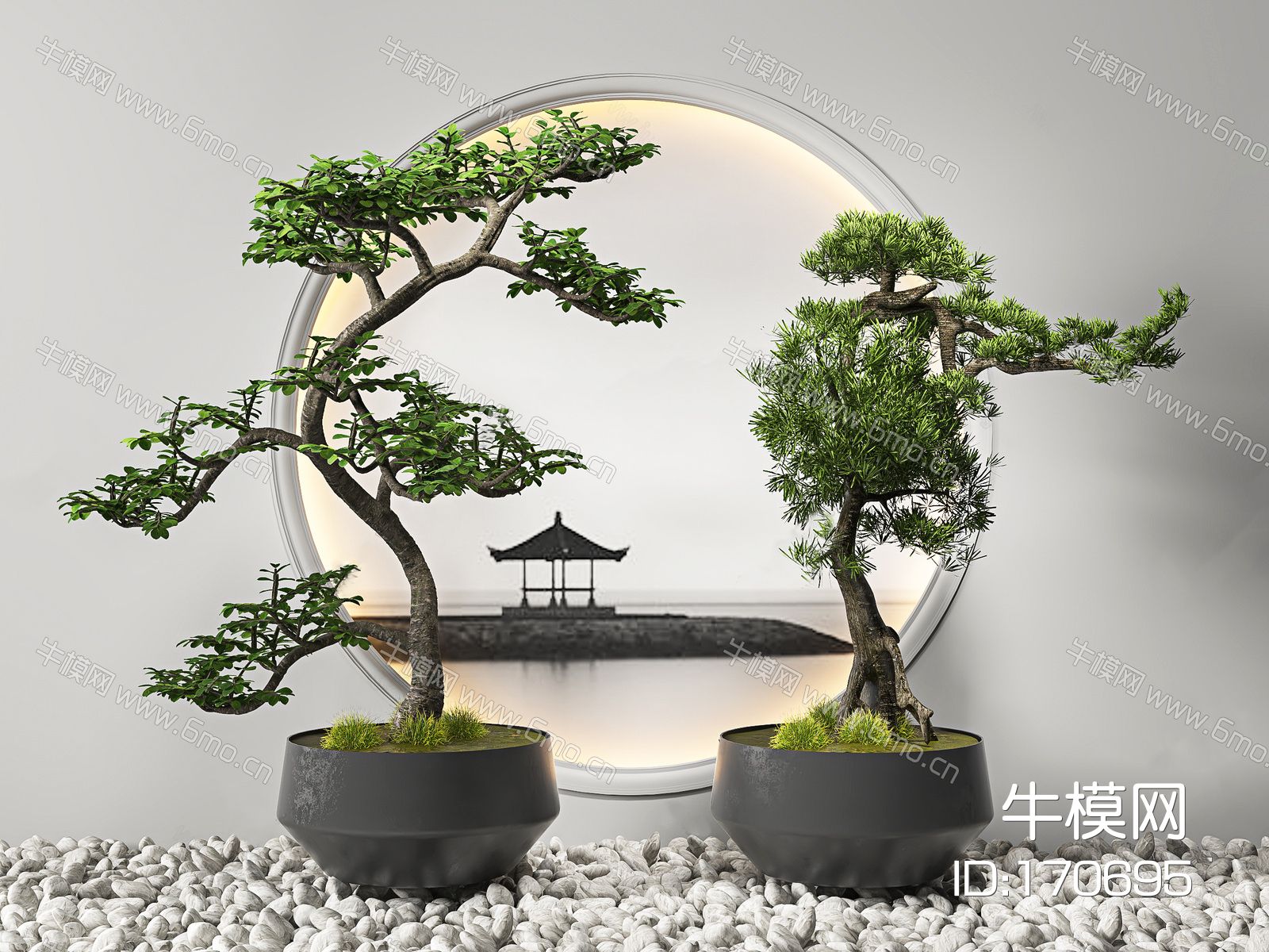 新中式松树盆栽