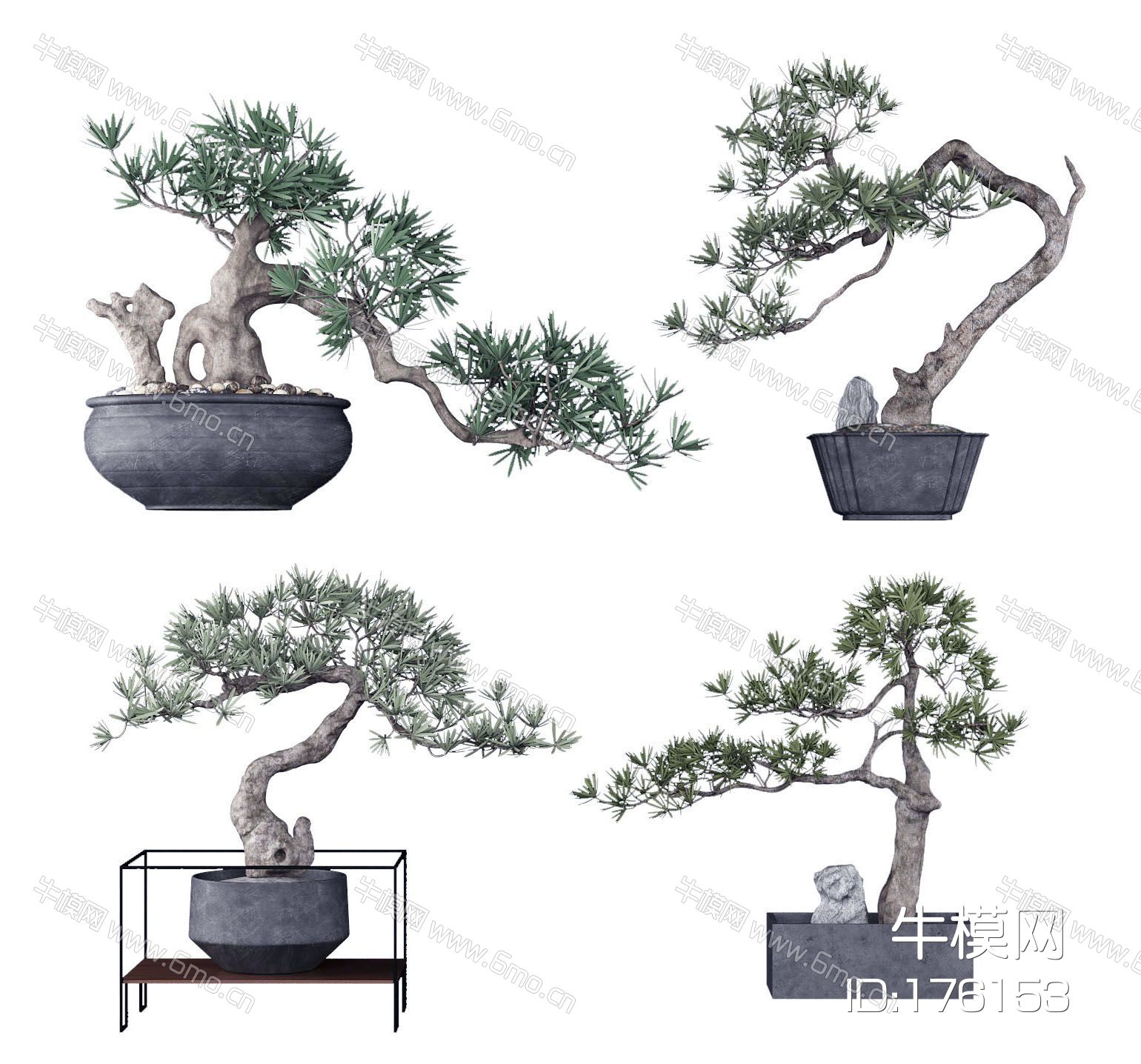 新中式盆栽