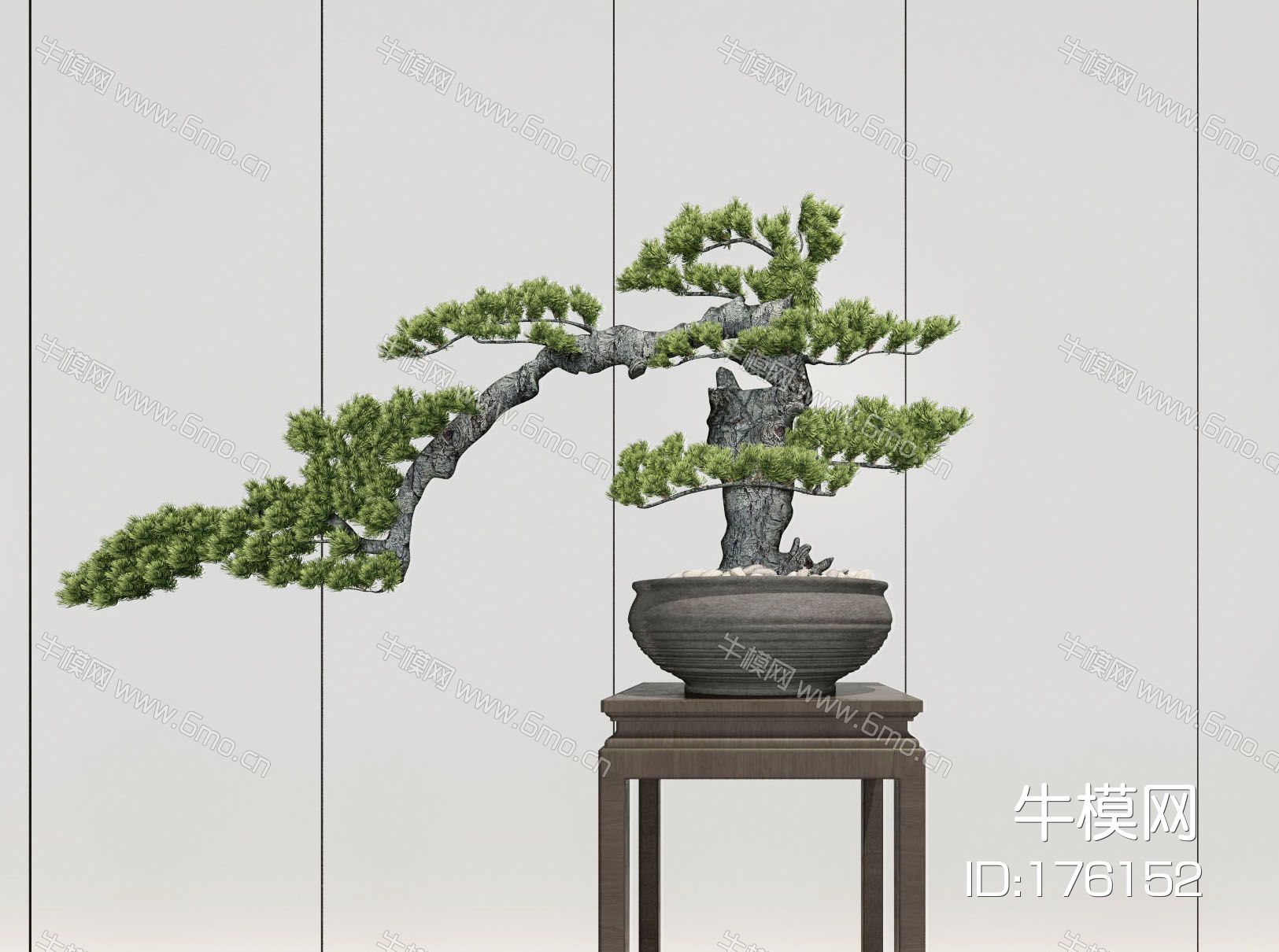 新中式盆栽