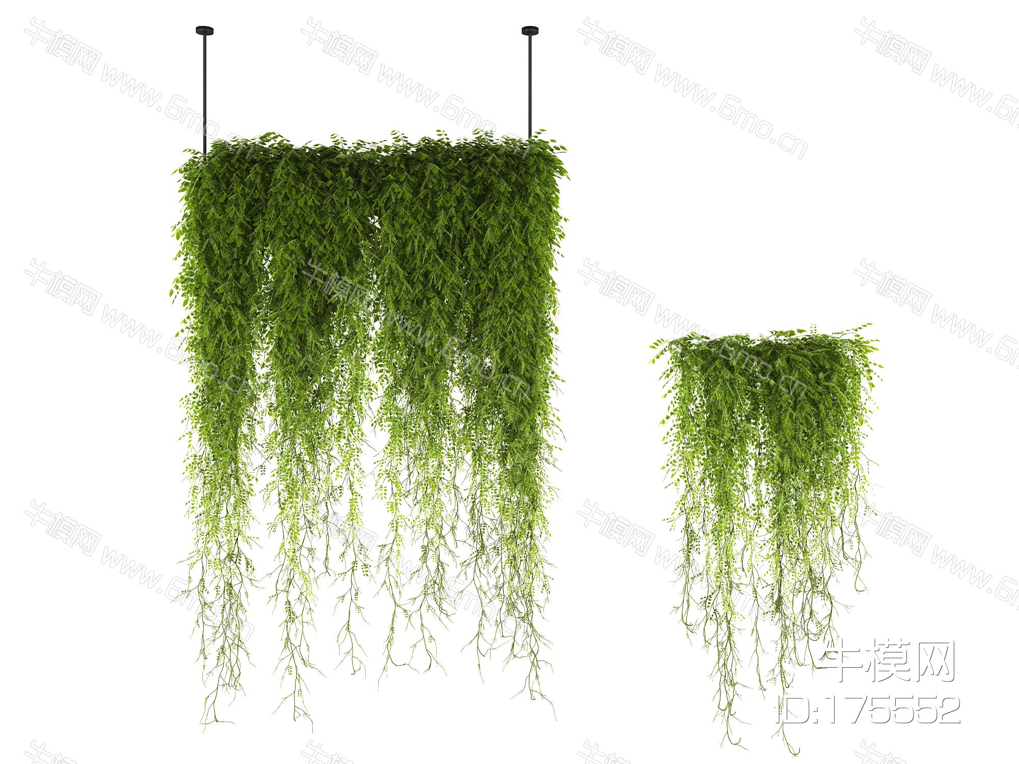 现代藤蔓植物绿植吊装植物