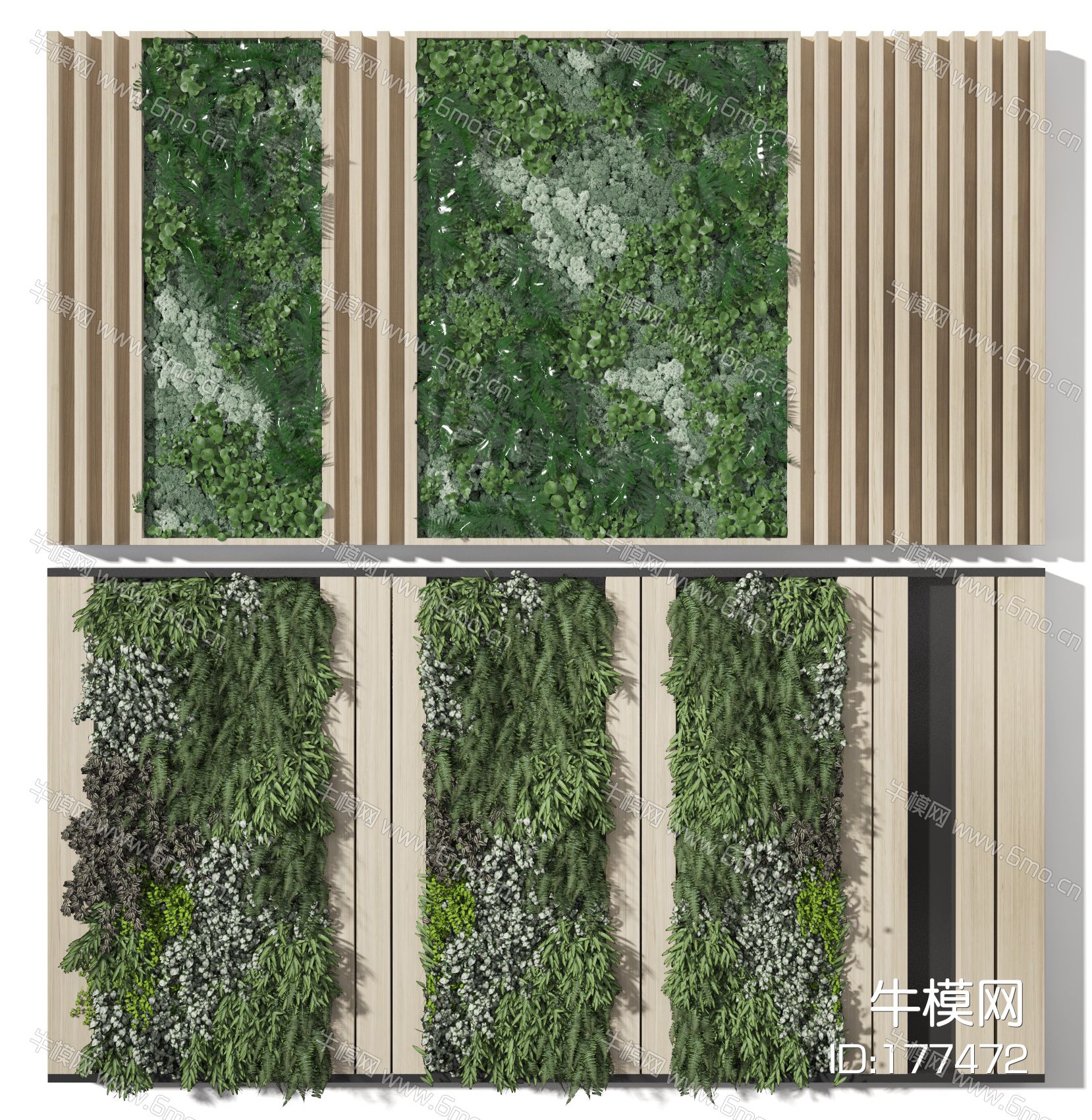 植物墙  装饰墙  