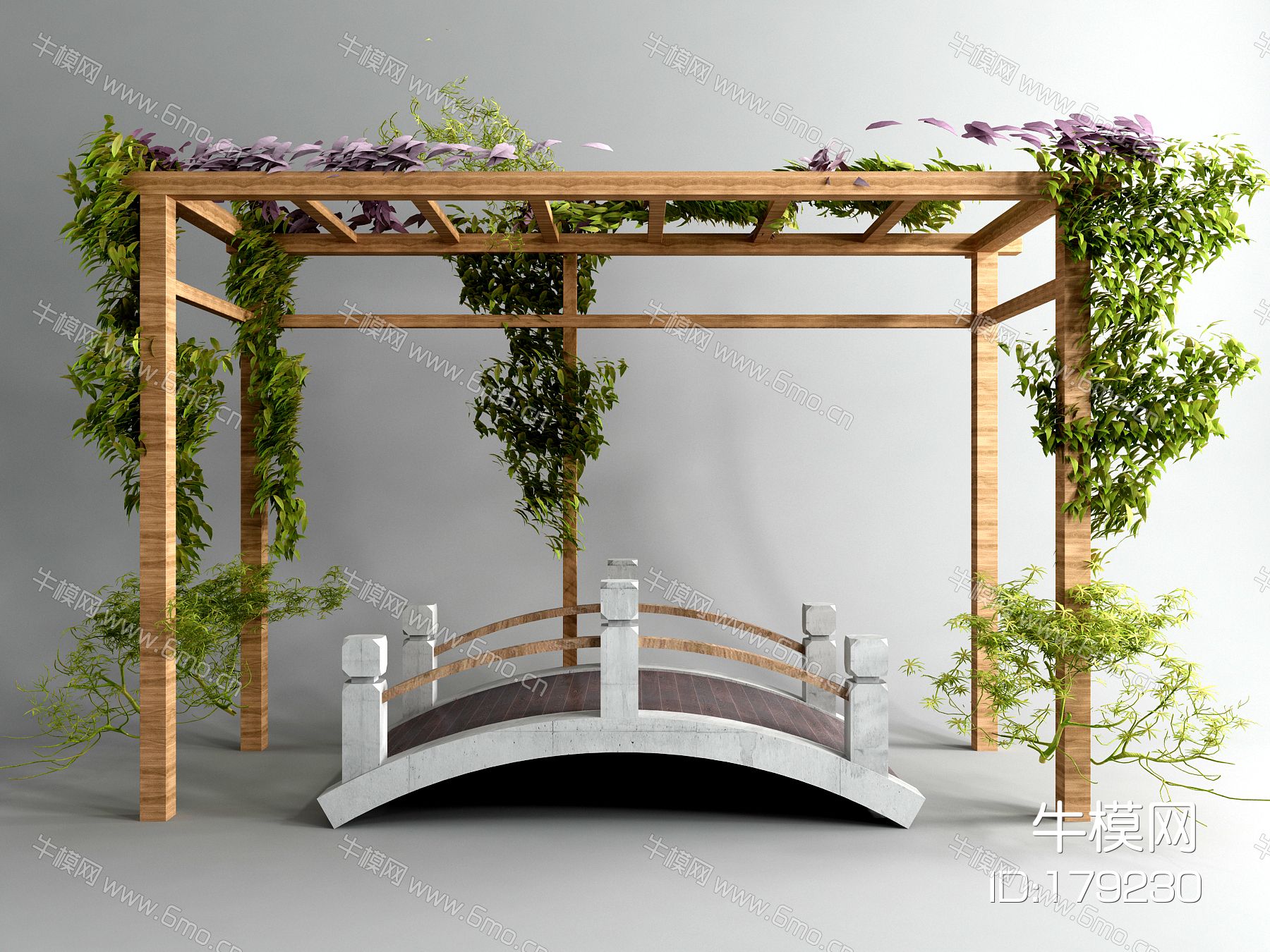 现代小桥 廊架 藤蔓 植物树