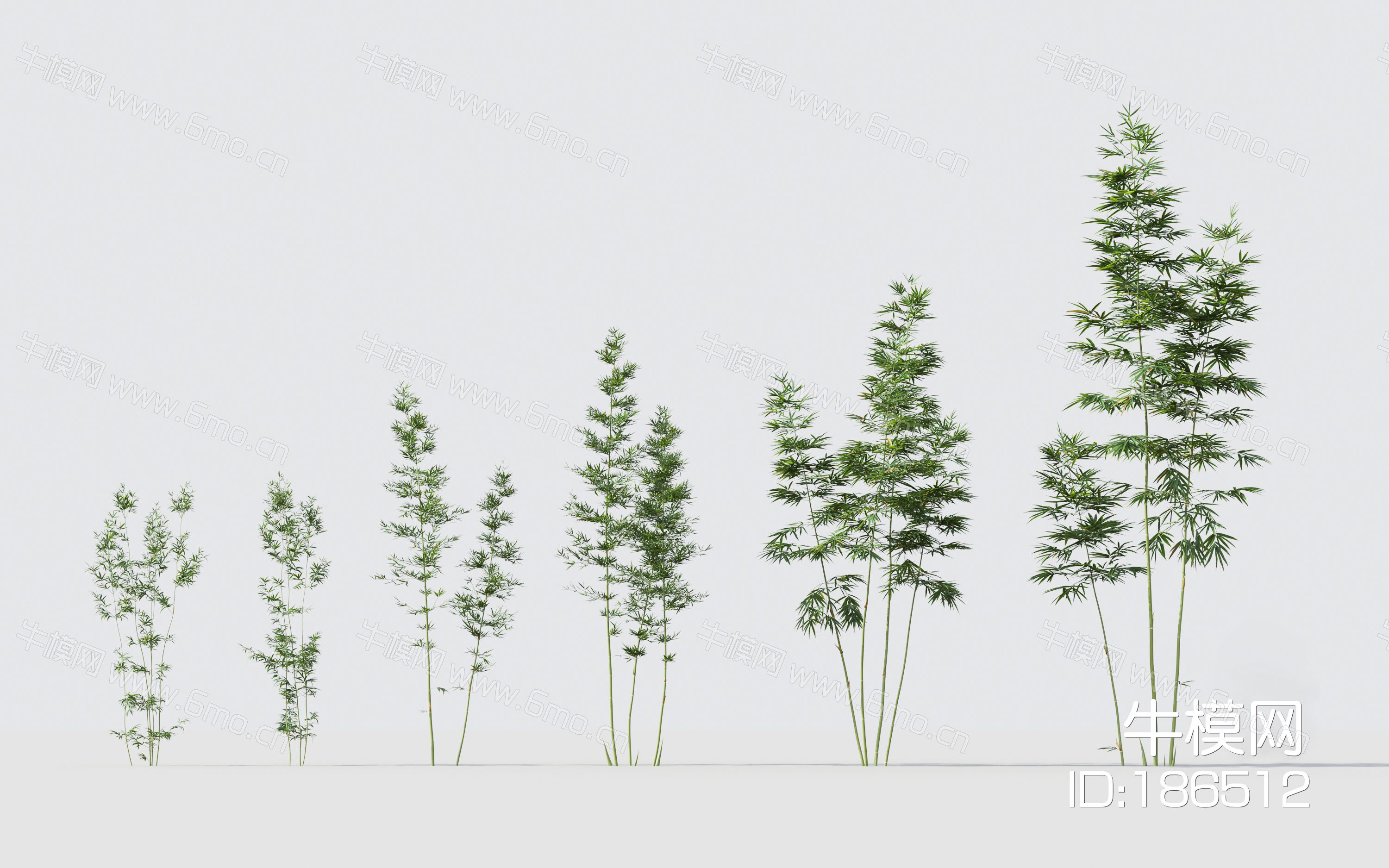 现代绿植竹子组合