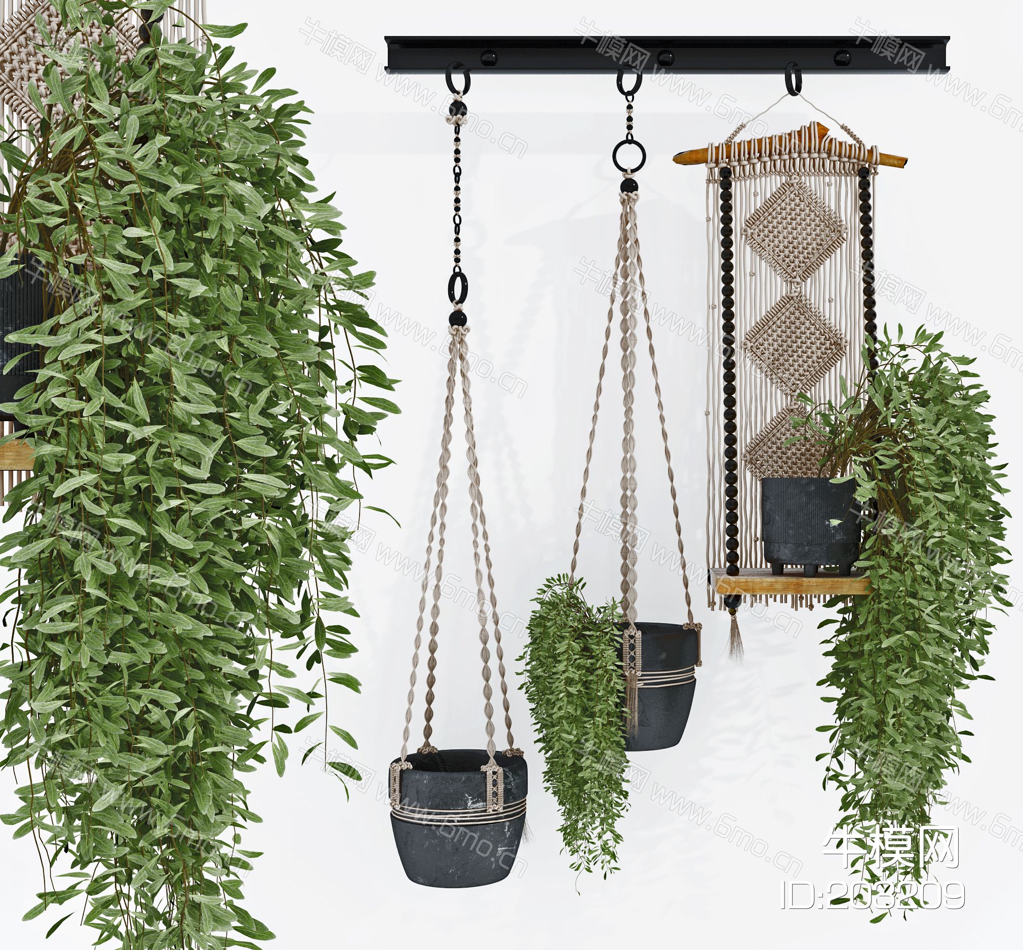 现代悬挂绿植盆栽，吊篮