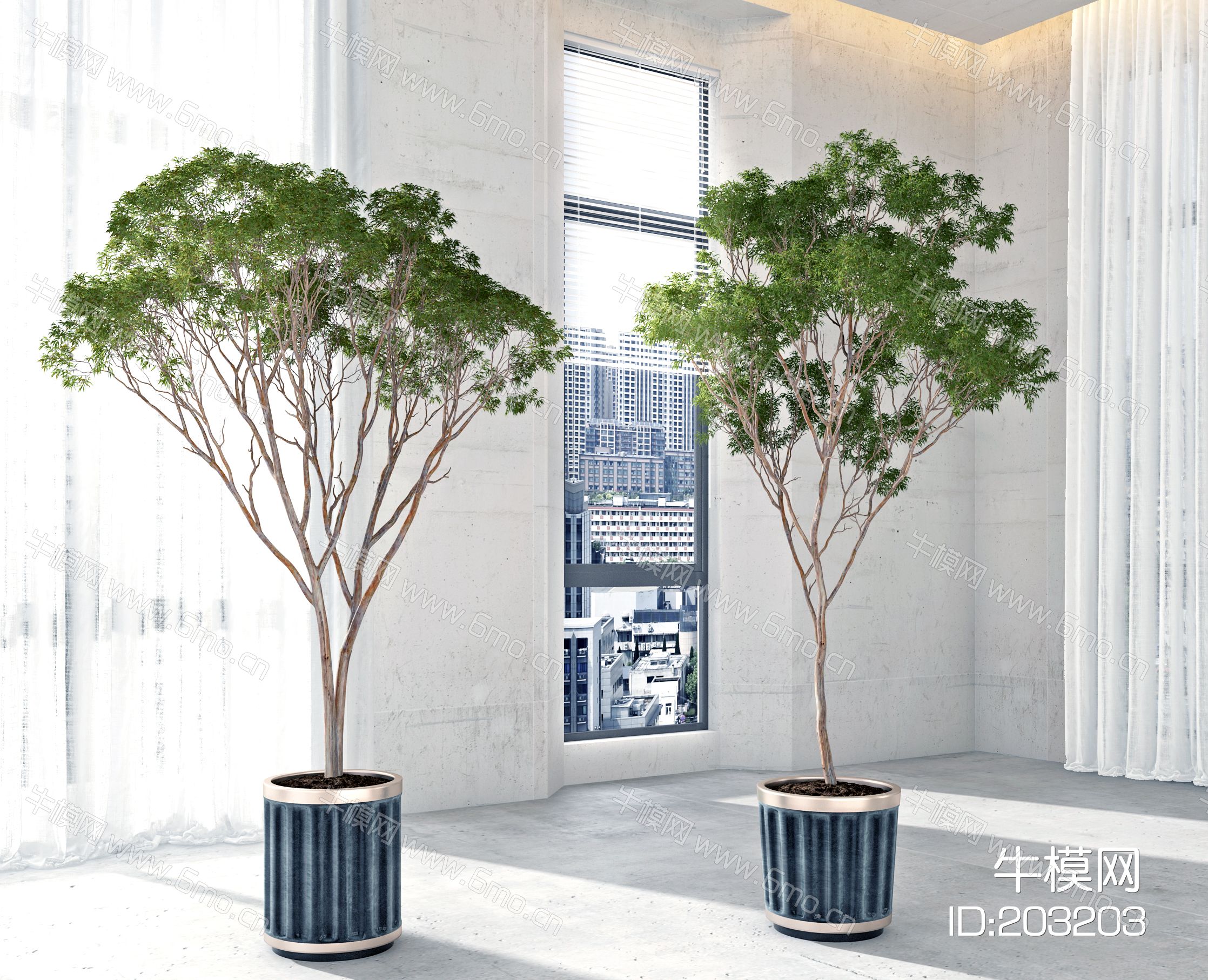 现代绿植盆栽，花盆