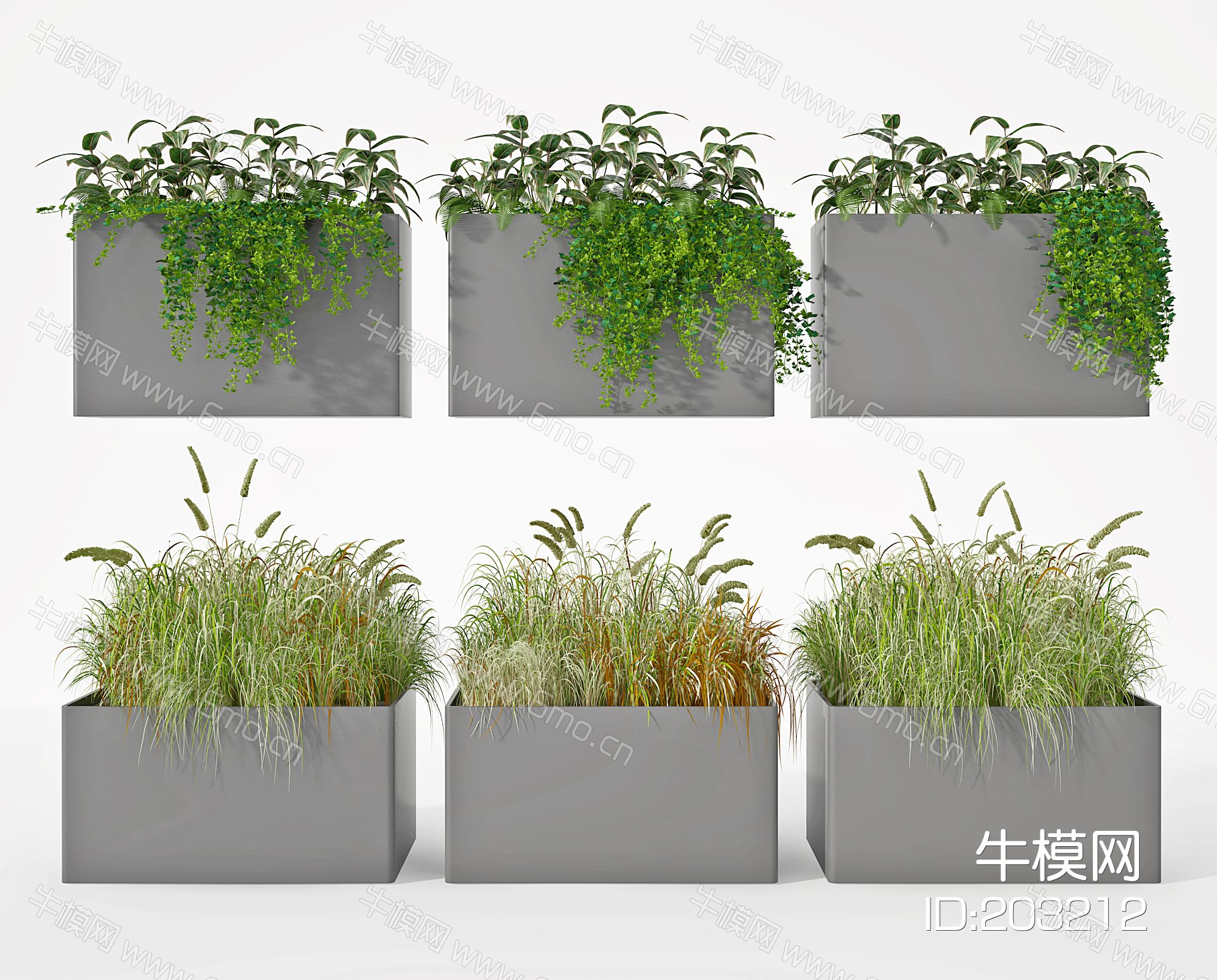 现代绿植盆栽，花池花槽芦苇草